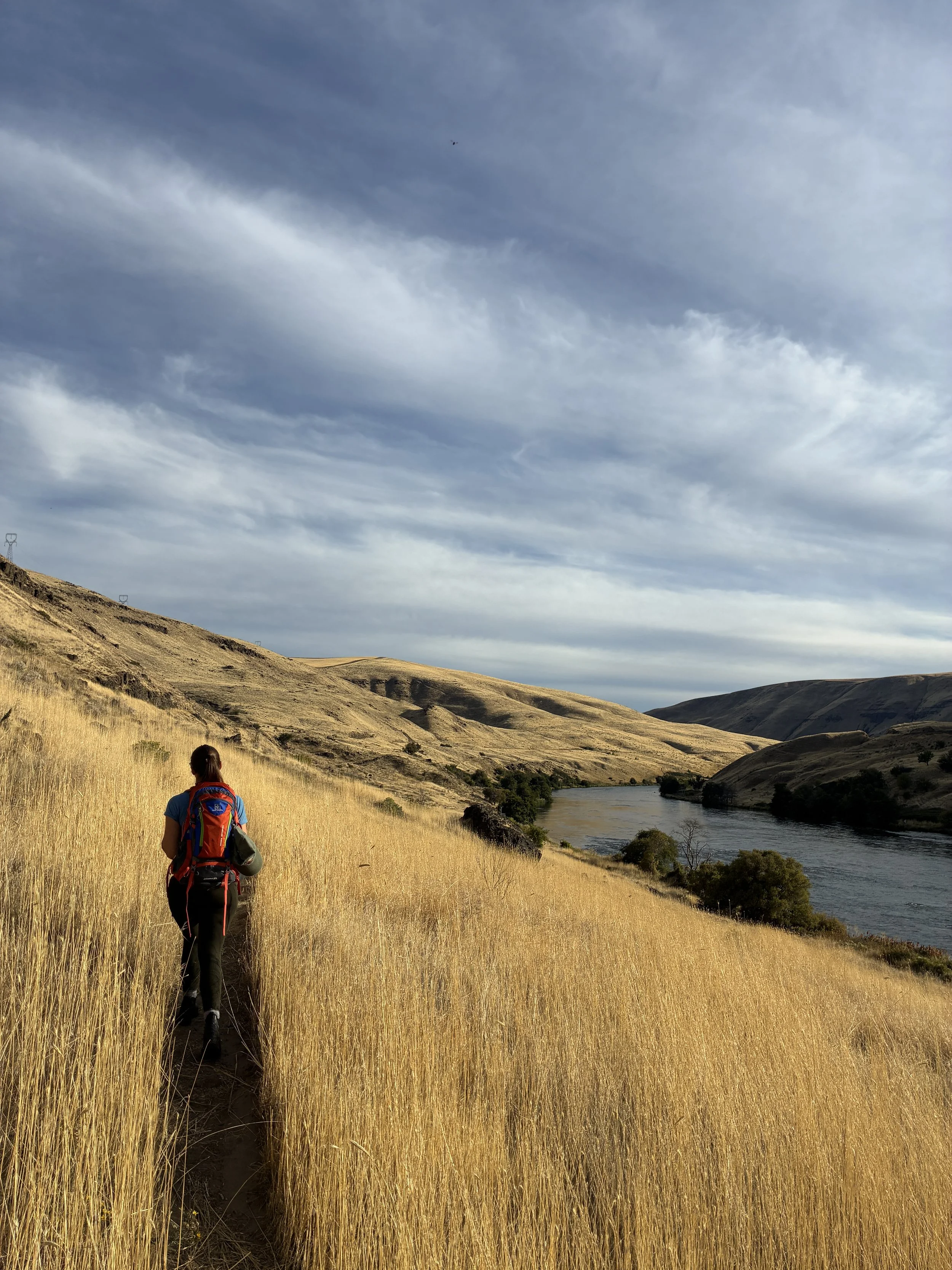 A person with a backpack hiking on a narrow trail in a golden grassy hillside next to a river, with rolling hills and a cloudy sky in the background.