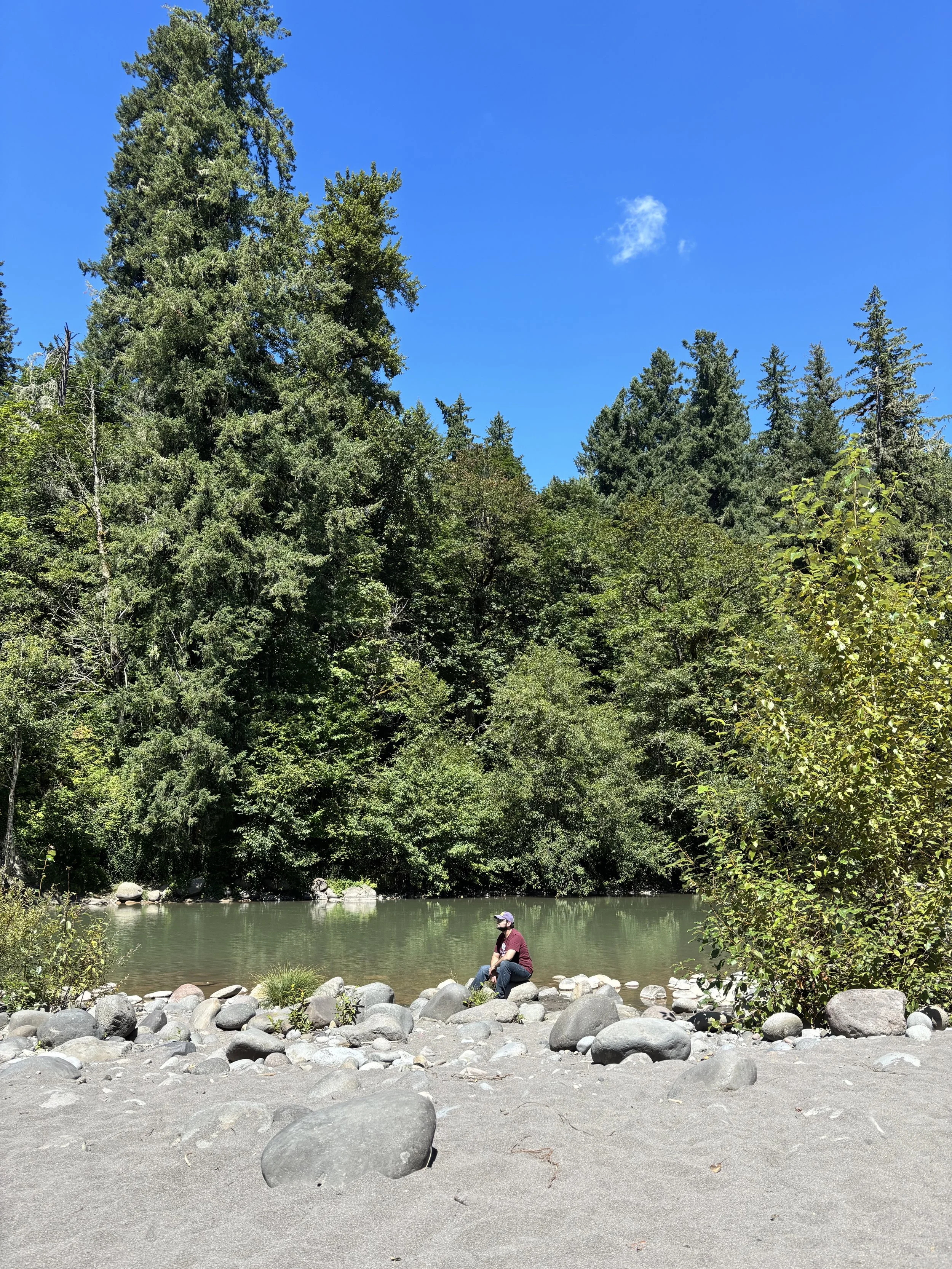 A person wearing a maroon shirt and a cap sitting on rocks by a river with dense green trees and tall pine trees in the background under a bright blue sky with a small white cloud.