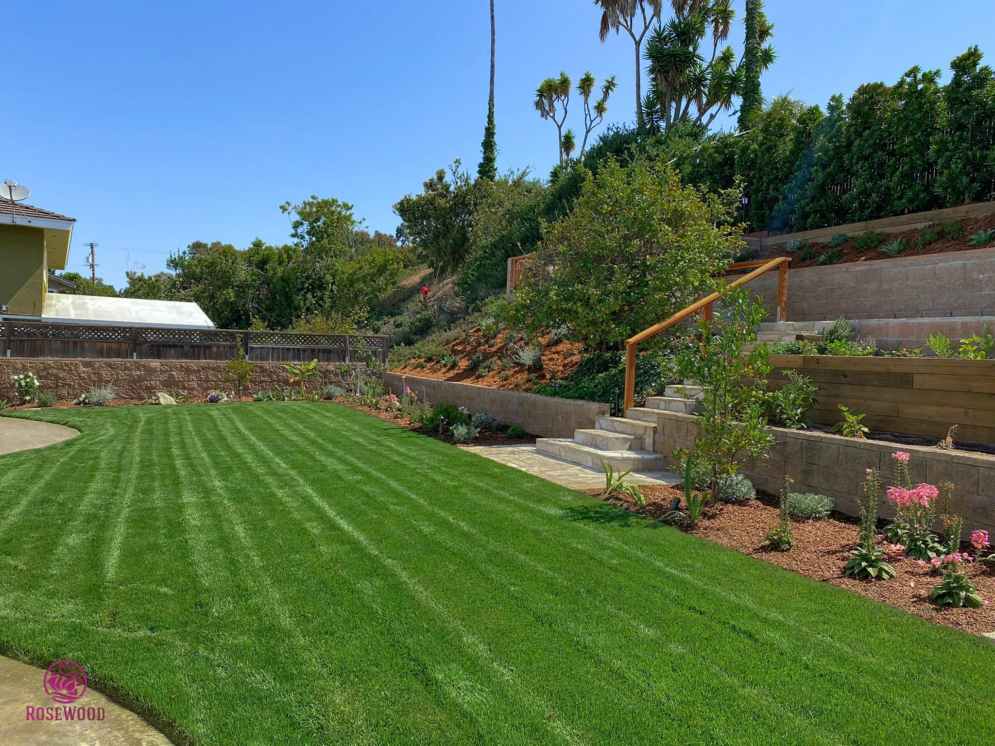 Hillside landscaping with lawn, retaining walls, garden steps and planting by Rosewood Landscape