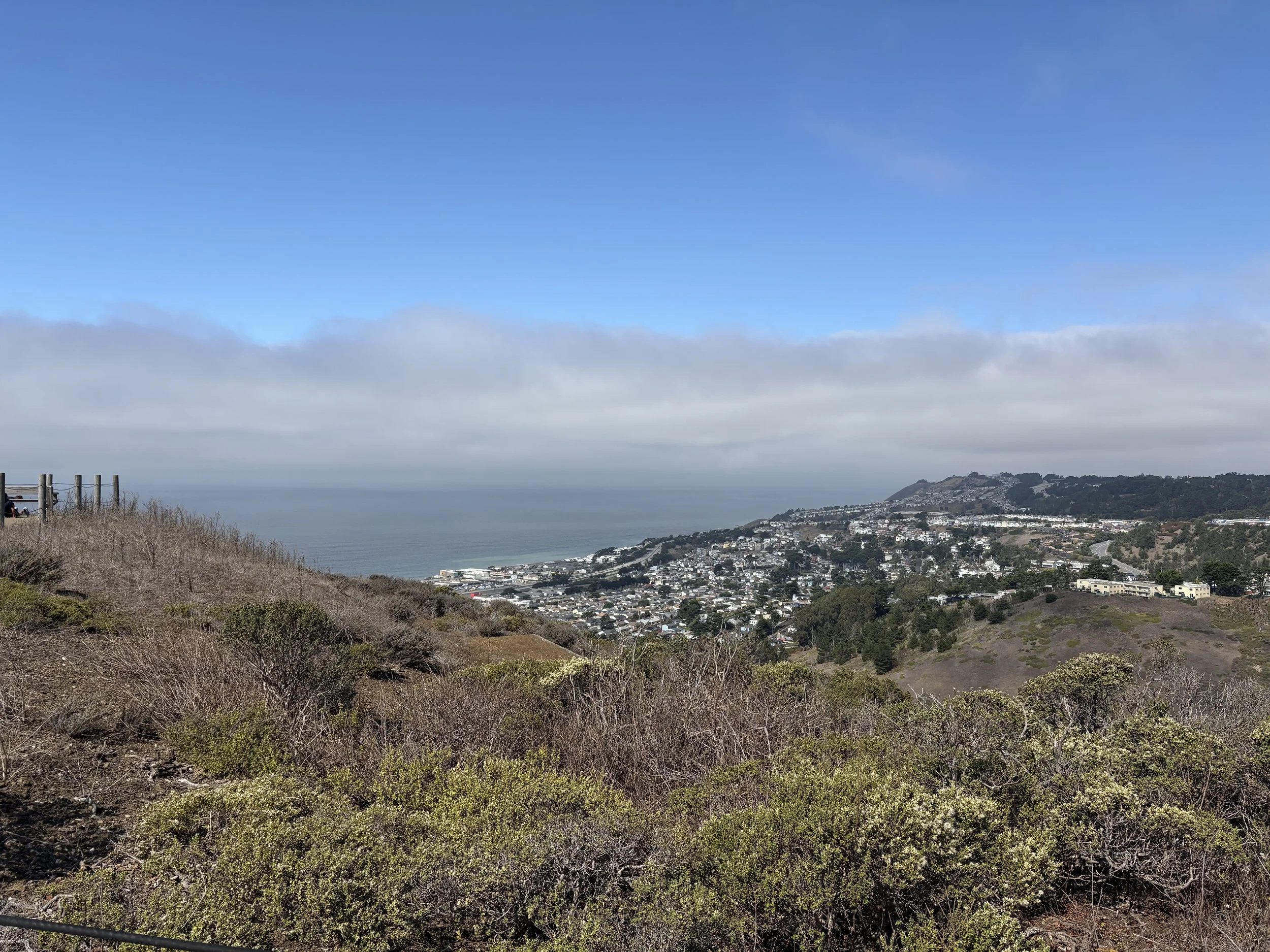 IMG_9370.jpeg