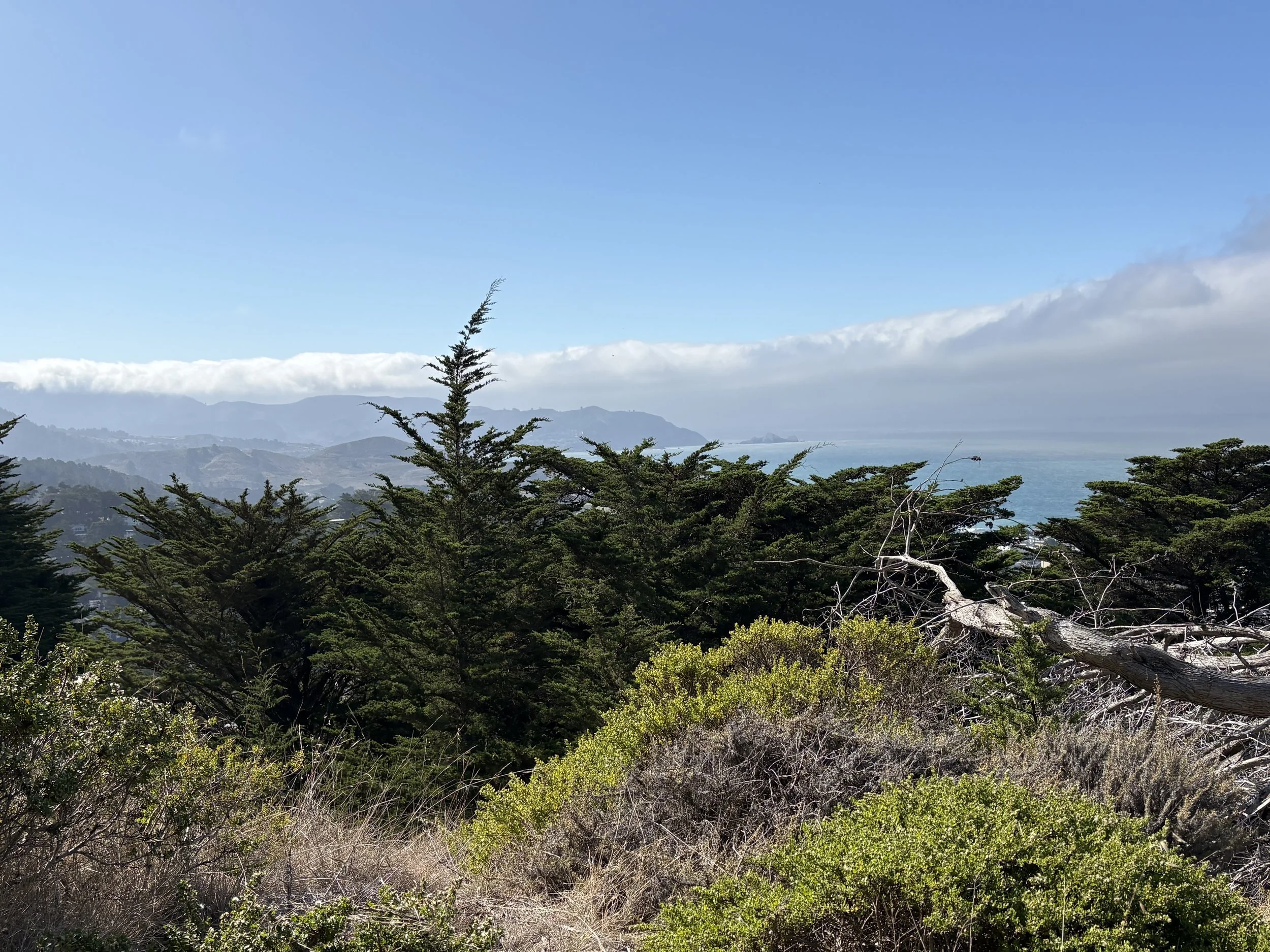 IMG_9354.jpeg