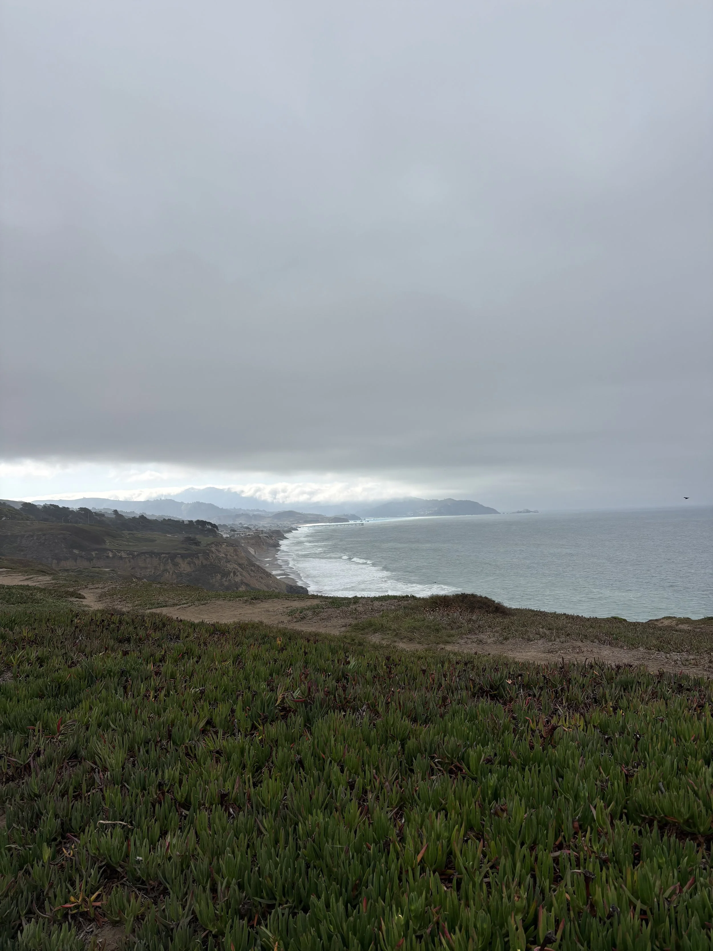 IMG_9337.jpeg