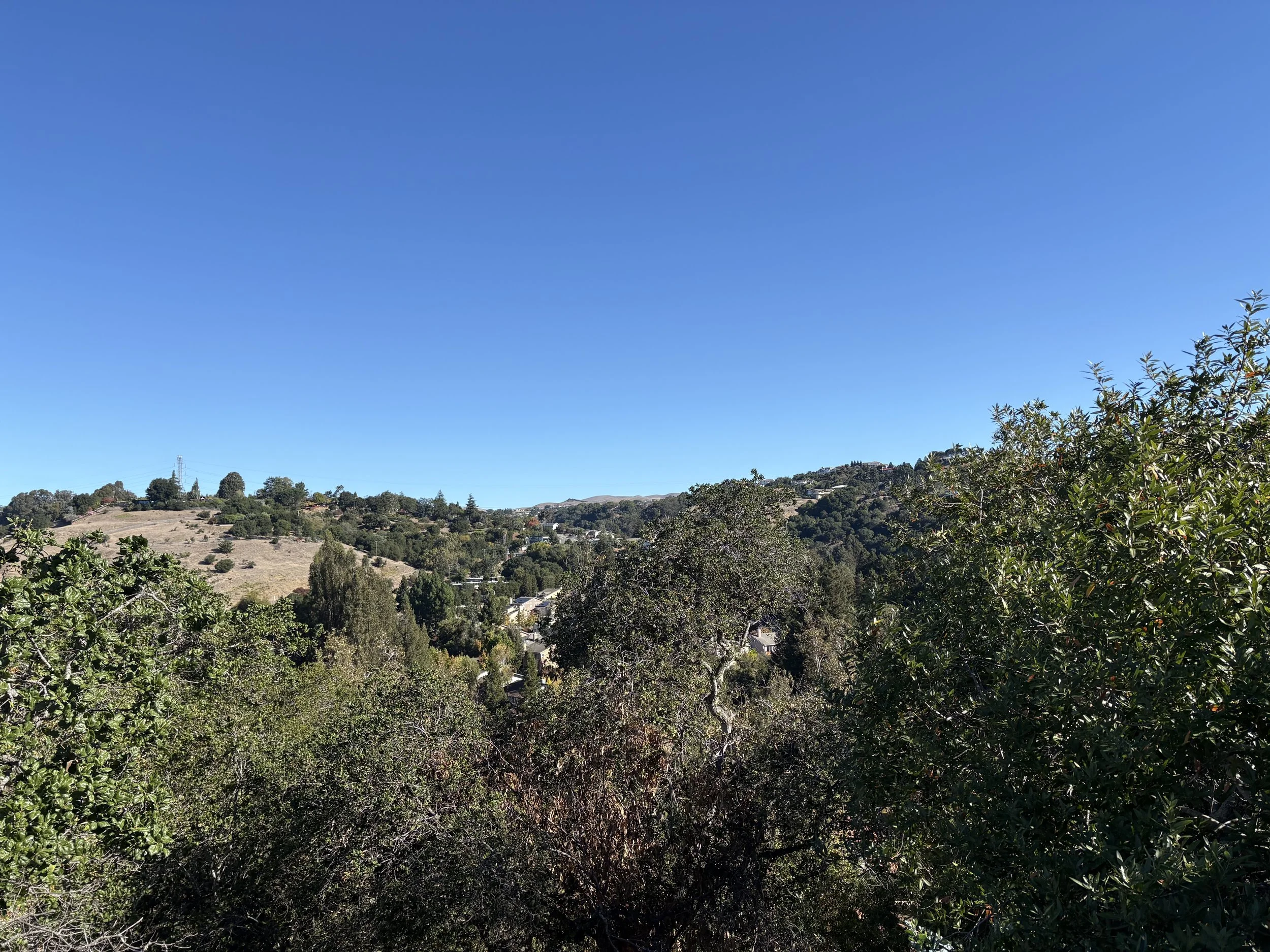 IMG_9457.jpeg