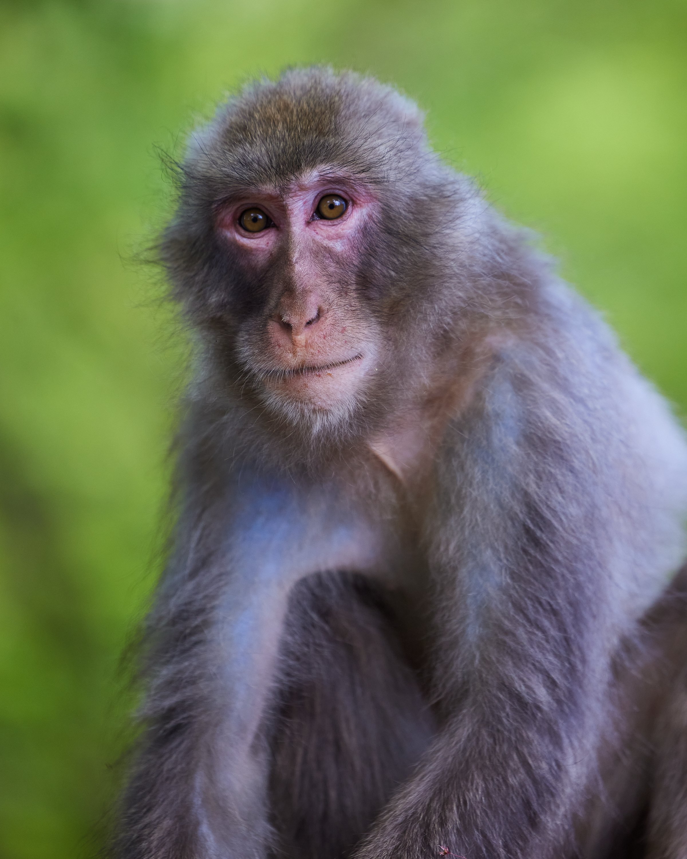 KYOTO_1212.jpg