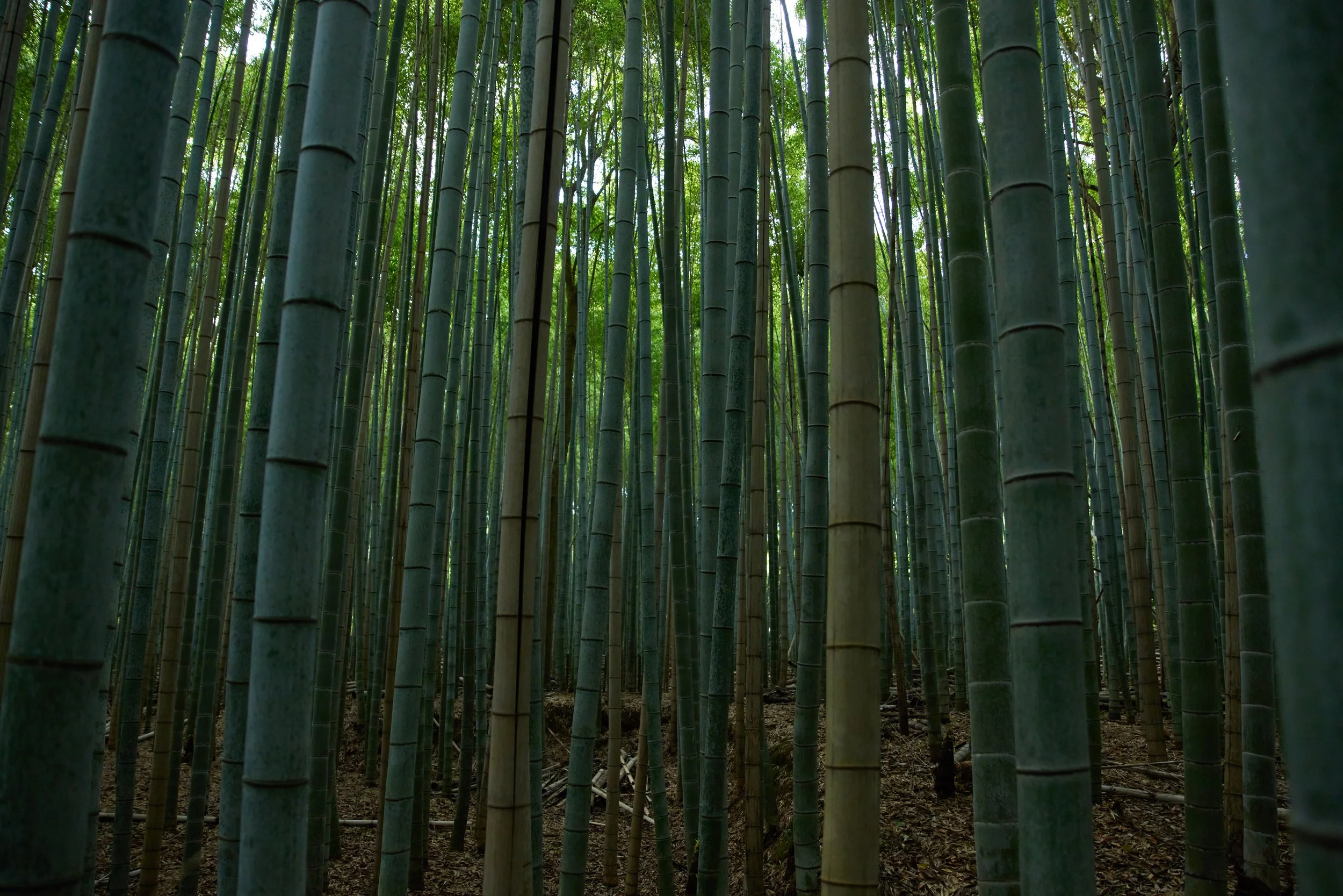 KYOTO_0119.jpg
