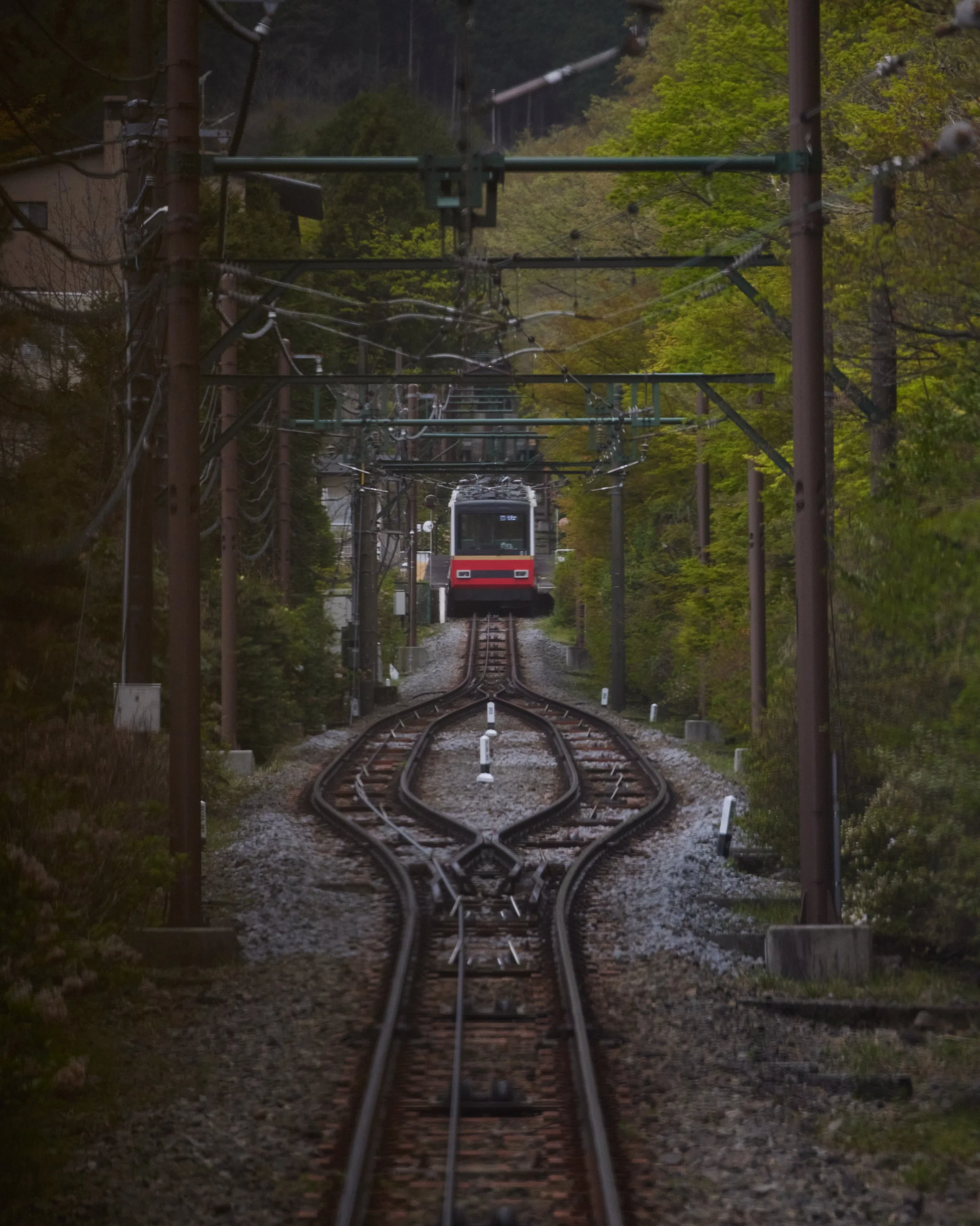 HAKONE_0823.jpg