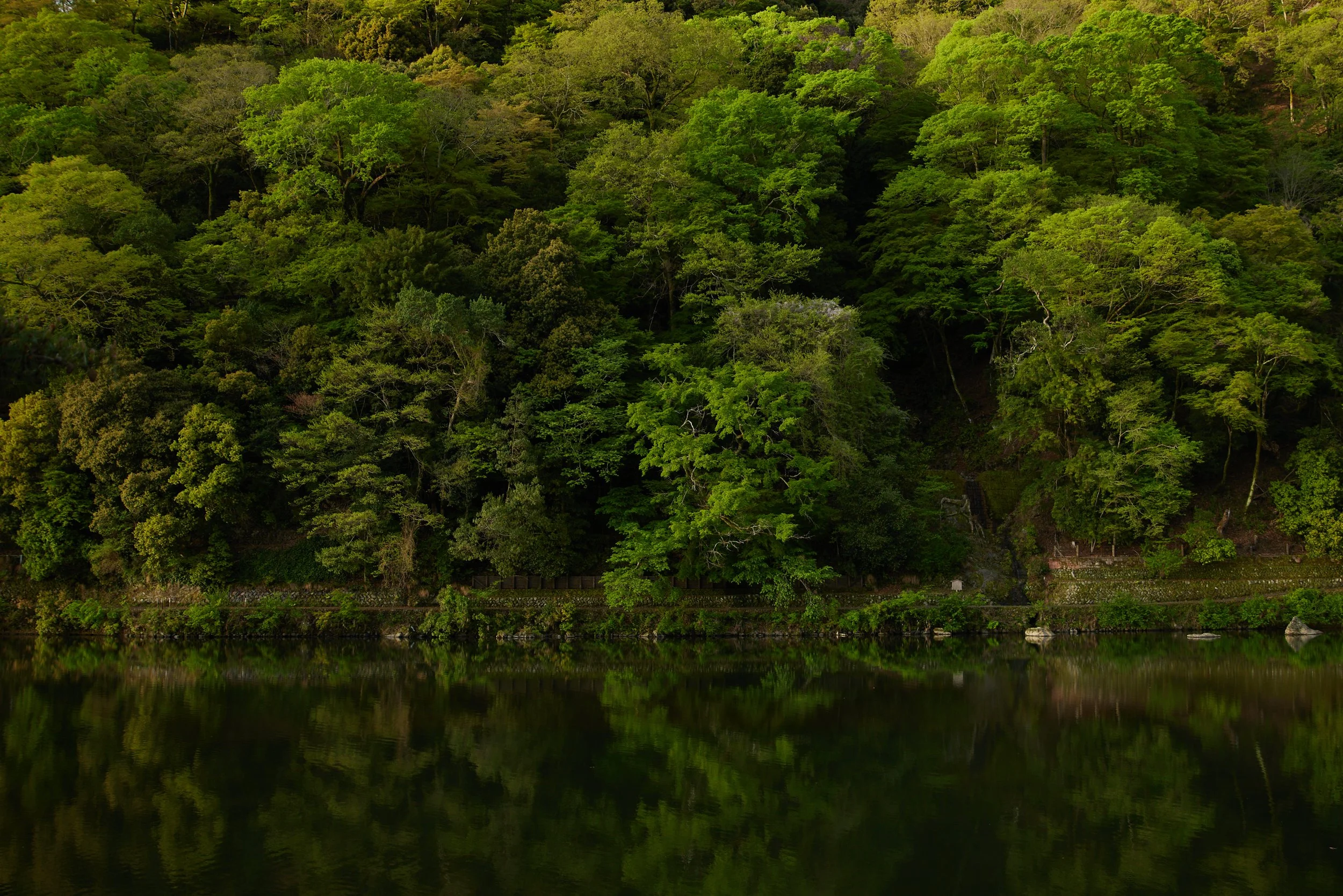 KYOTO_0097.jpg