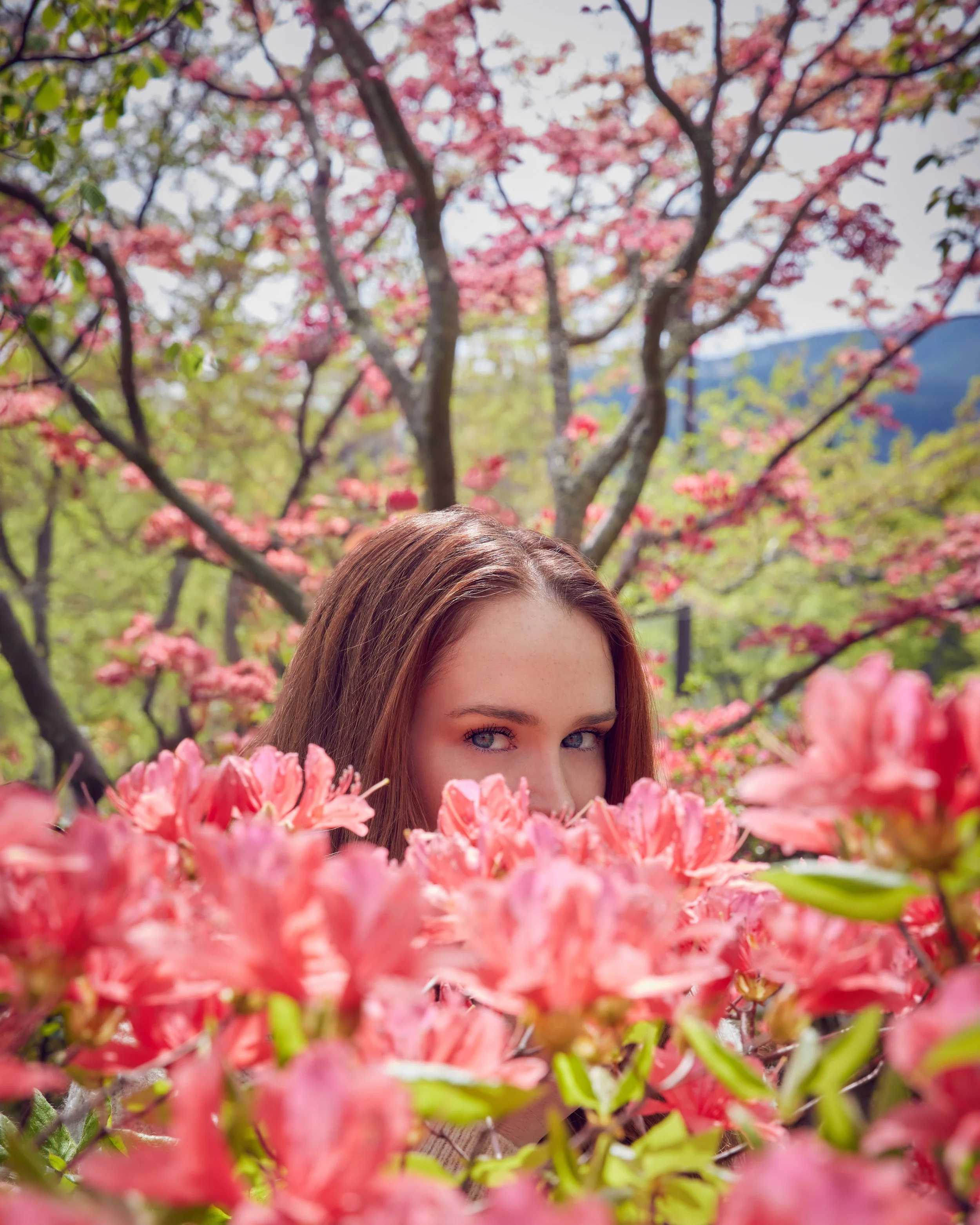 HAKONE_0400.jpg