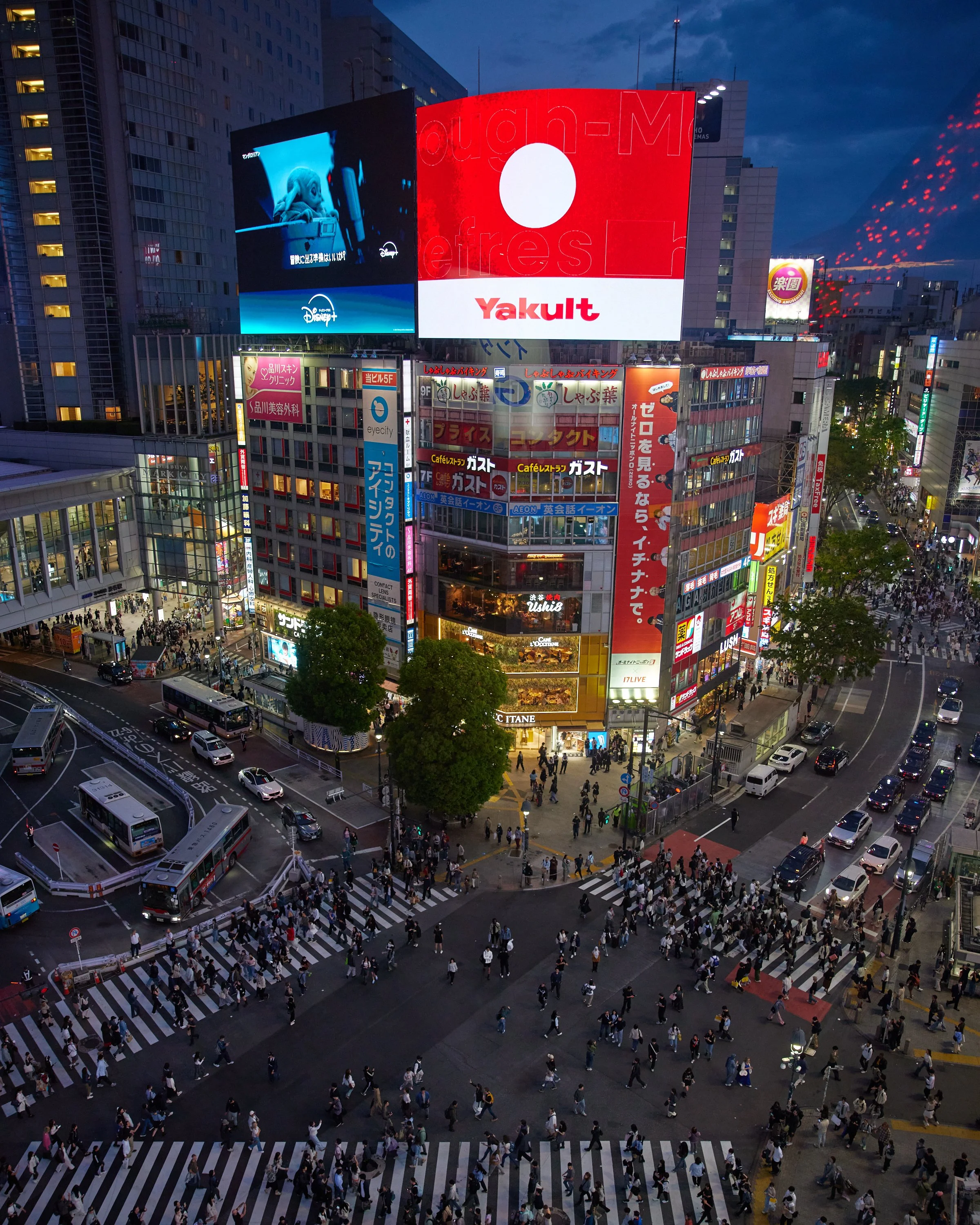TOKYO_1802.jpg