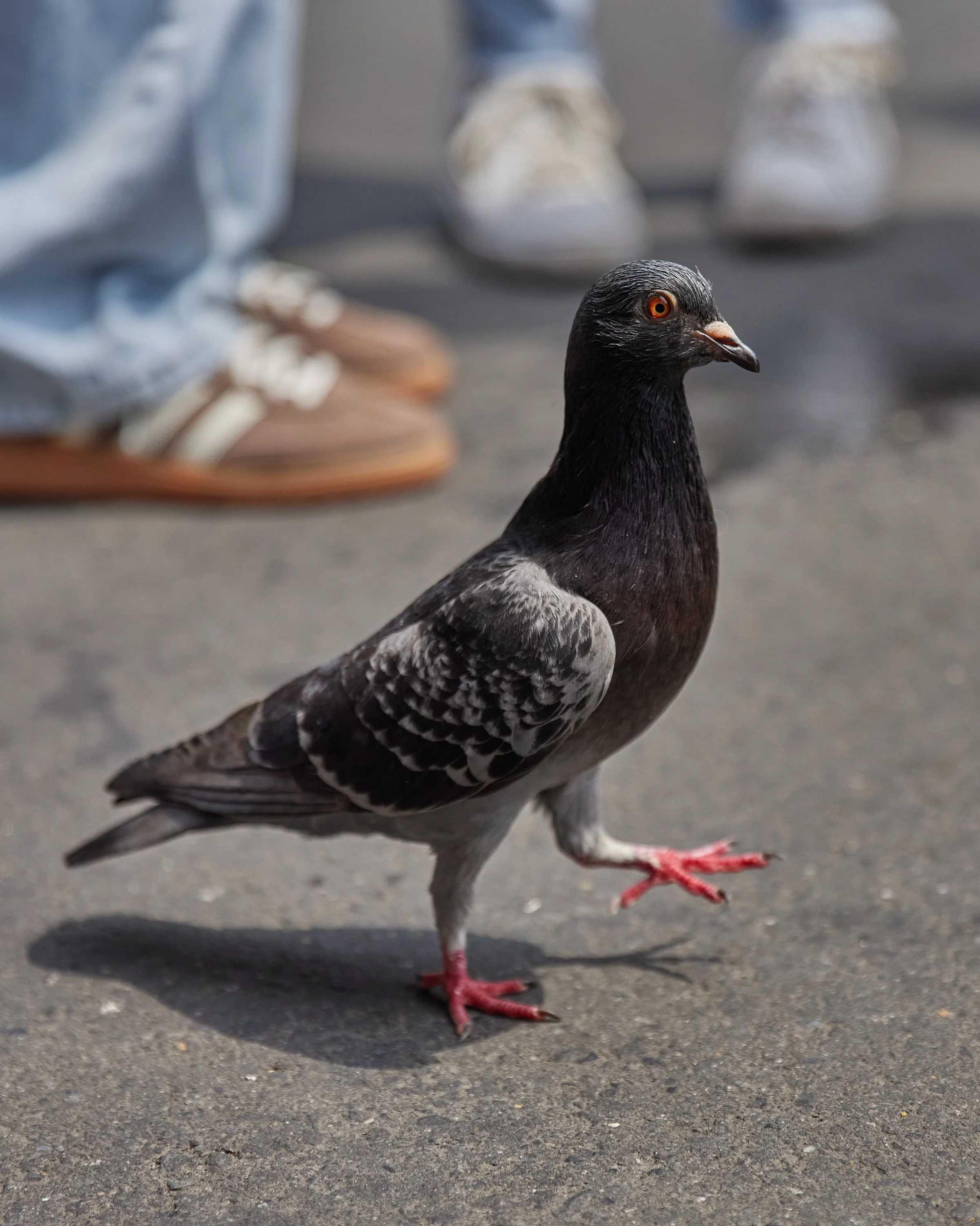 TOKYO_0928.jpg