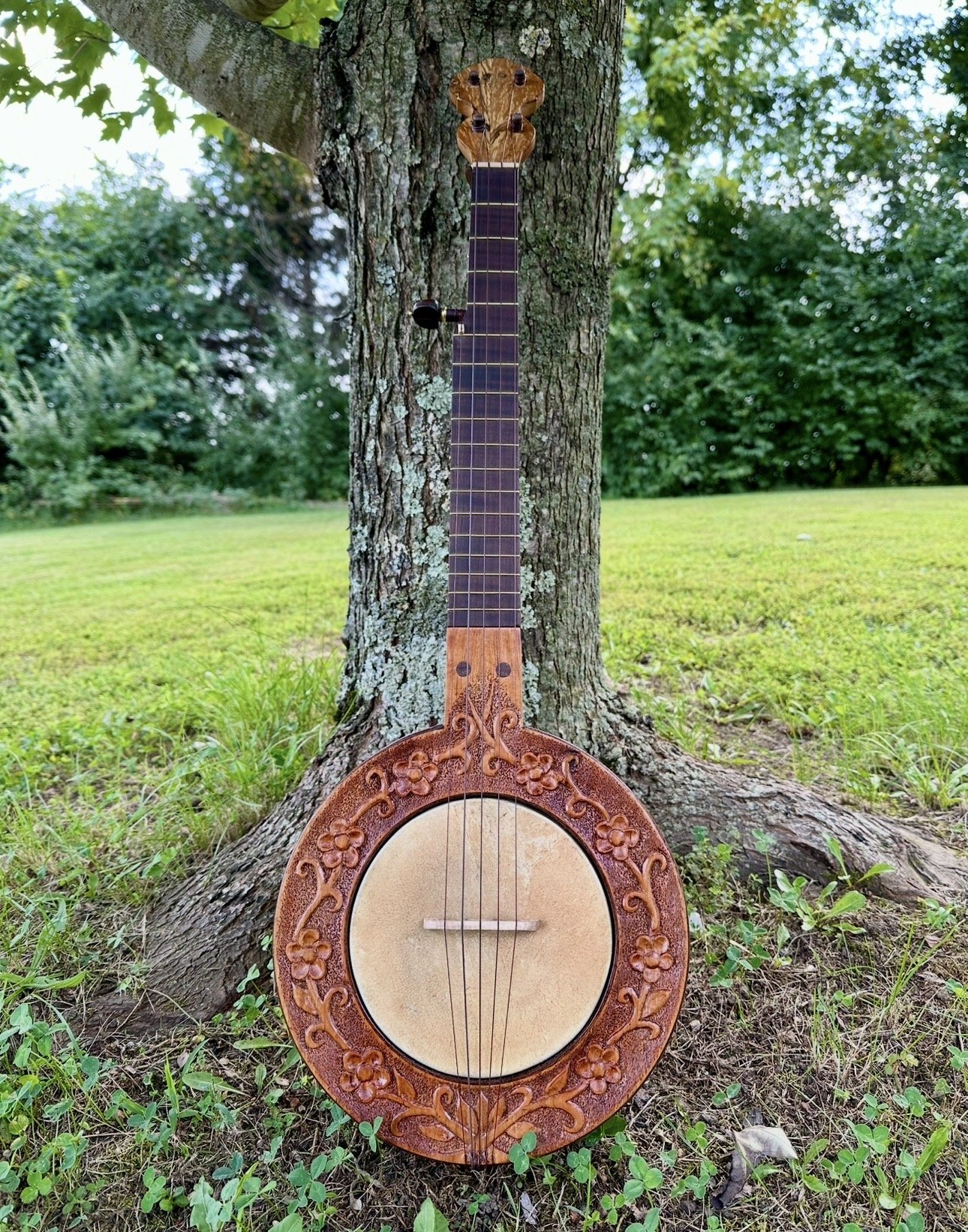 A wooden banjo with decorative floral carvings on its rim, leaning against a tree outdoors on grass, with green trees in the background.