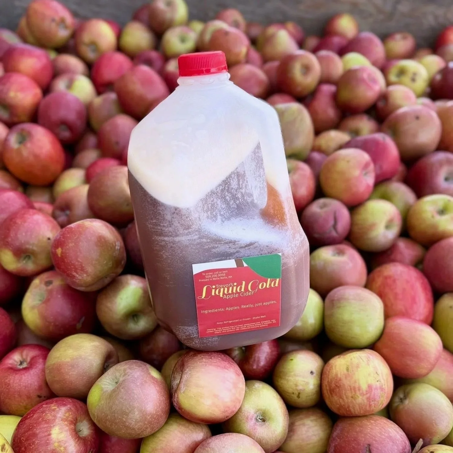 Trevors+Liquid+Gold+Apple+Cider+One+Gallon+Jug+Amongst+Fresh+Apples.jpg