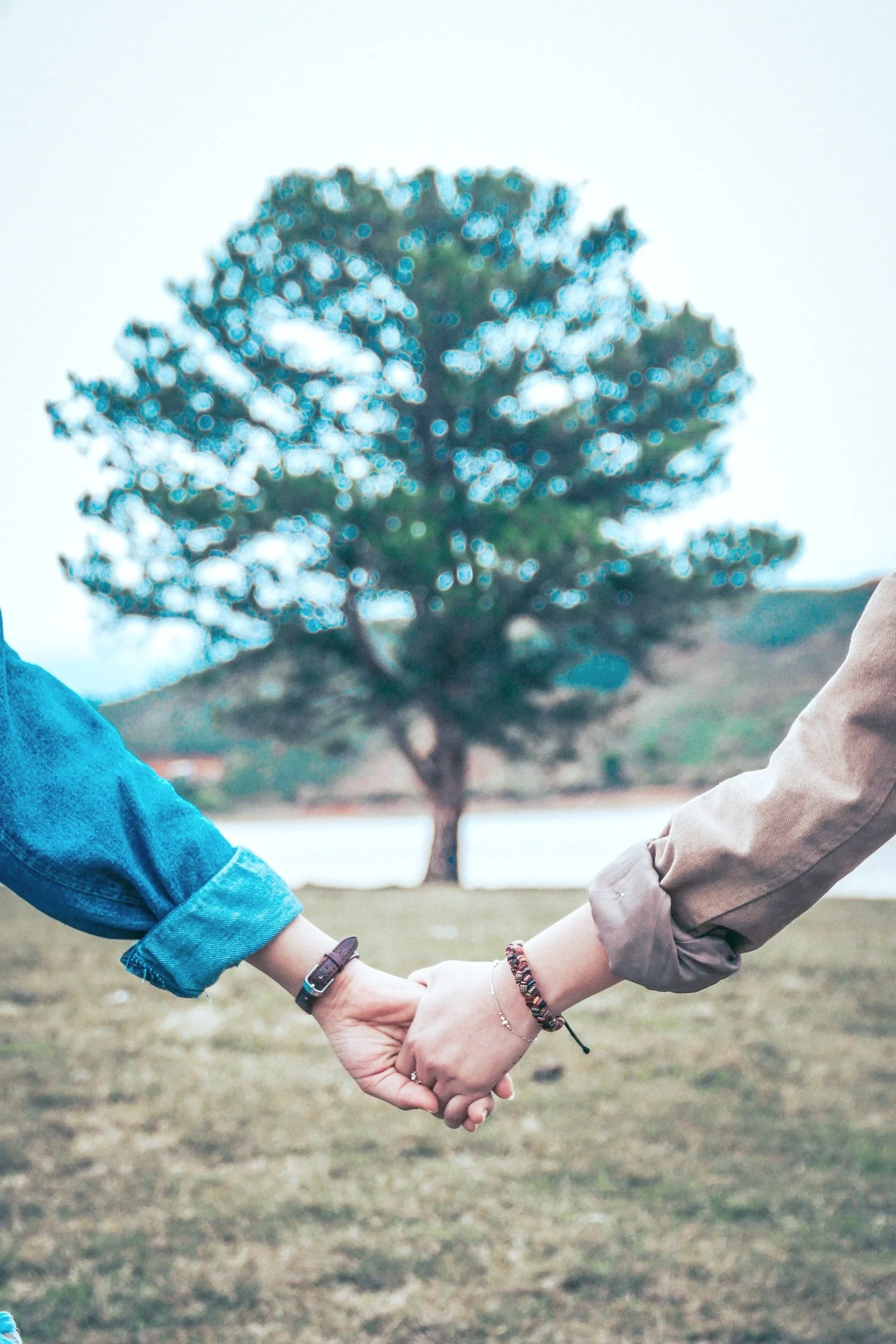 Two people holding hands in front of a tree, with cloudy sky in the background.
