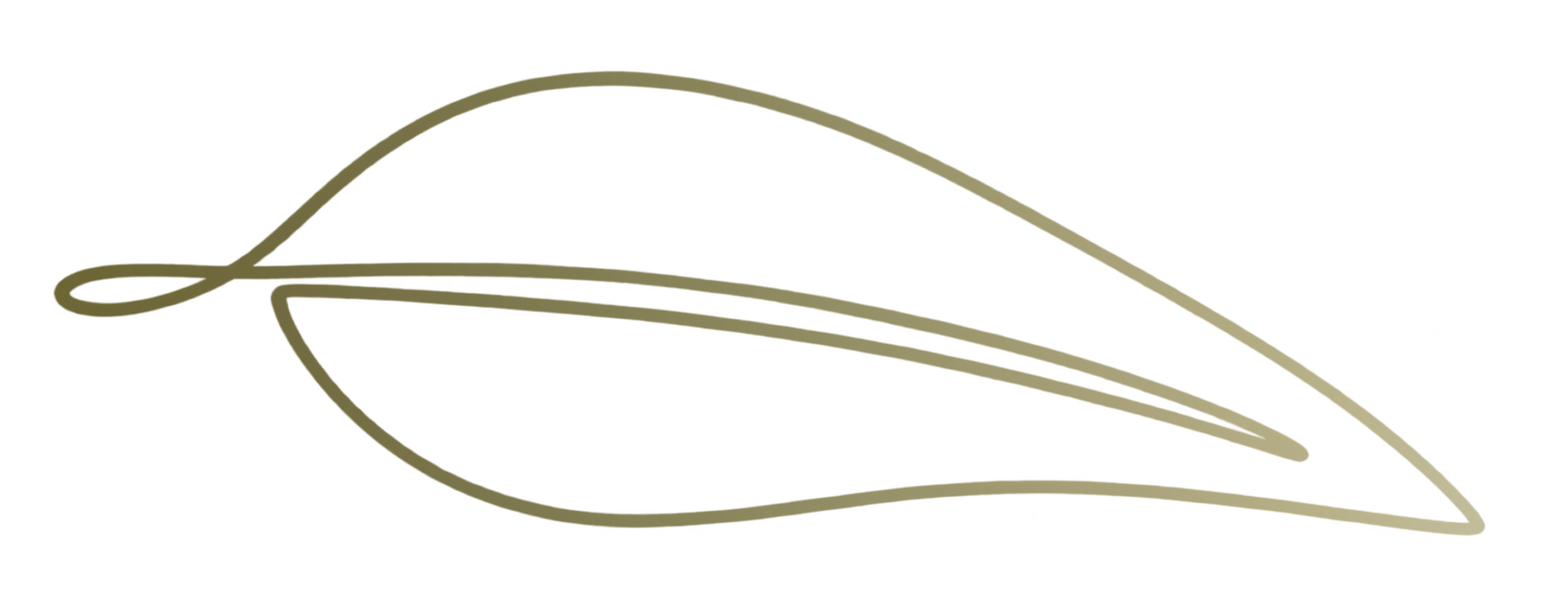 line drawing of a leaf in green