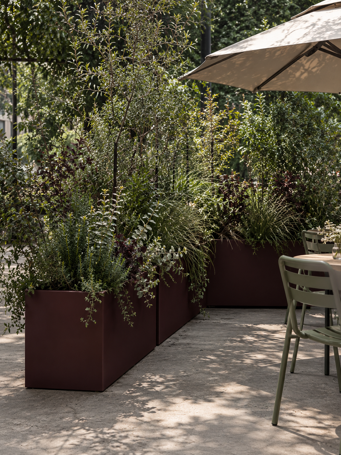 Terraza urbana entre plantas y sombras.png
