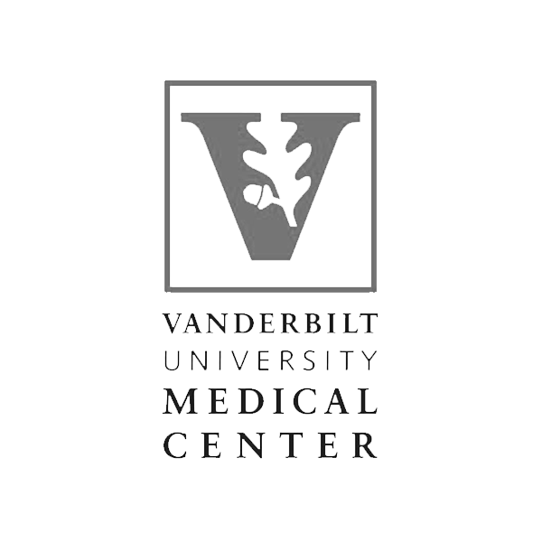 vanderbilt university, University advertising, city park rebrand, community branding, brand identity