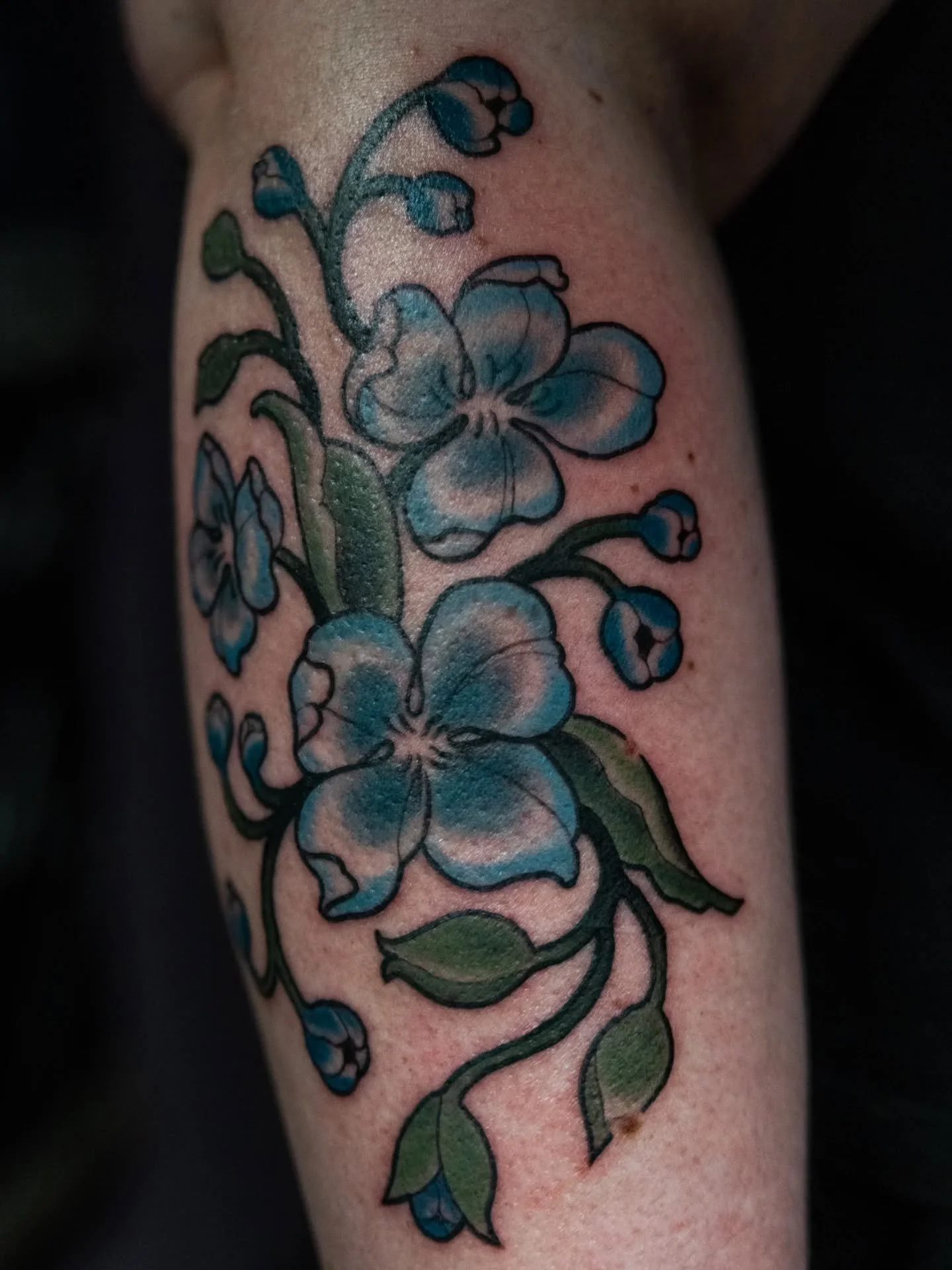 Floral flash for Waverly 💠 thank you for being rad and snagging some flash (-': 

Been debating on making a website to have my  portfolio, booking, prints, and bio in one space. That way anyone who steps away from Instagram/social media in general c