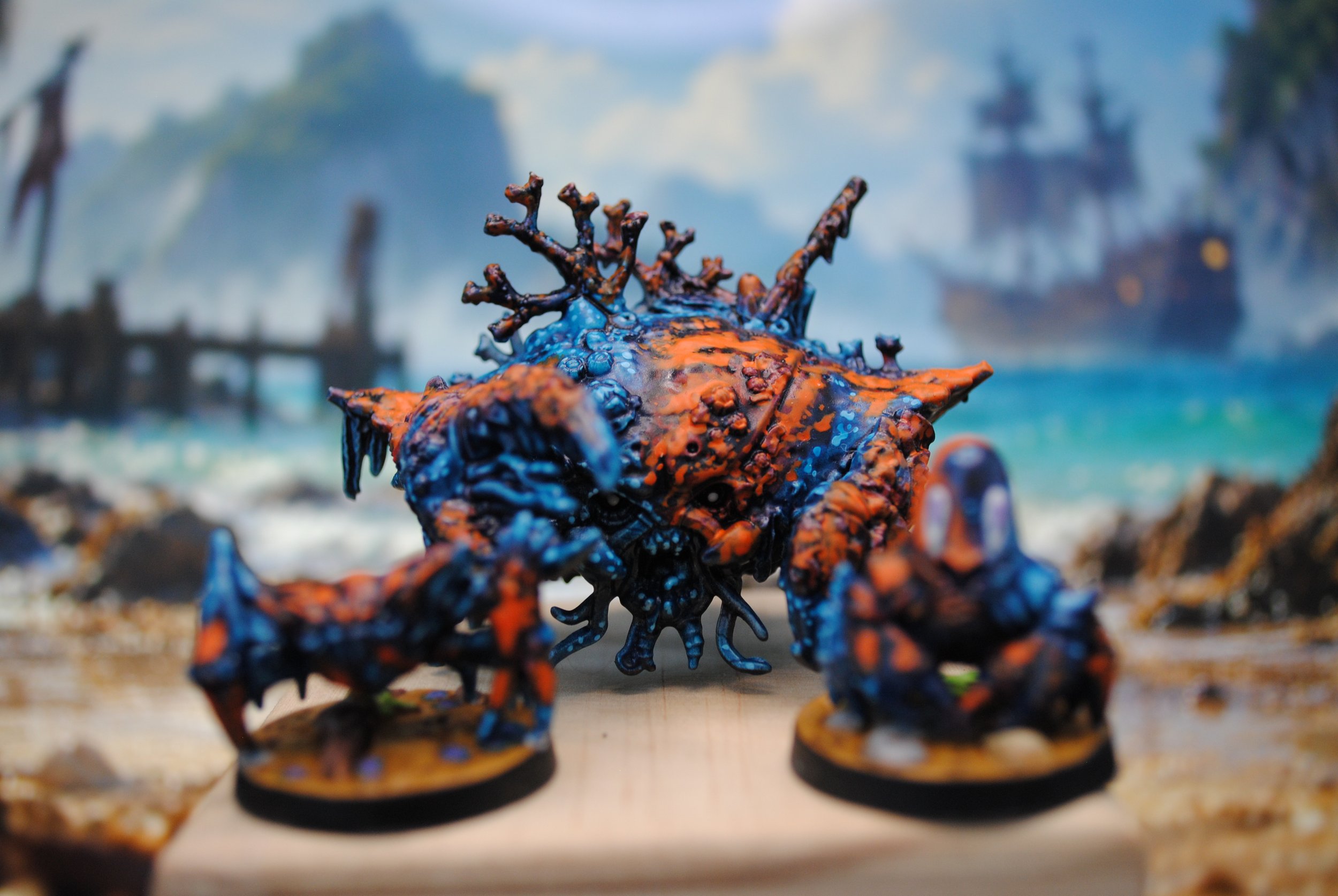 Colourful Crabs