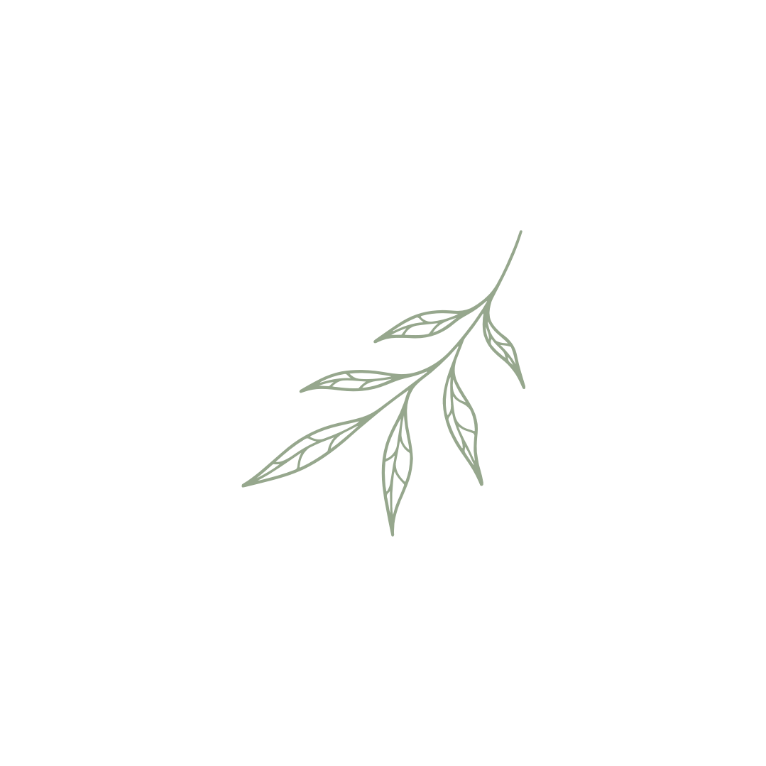 Simple line drawing of a branch with four leaves, on a black background.