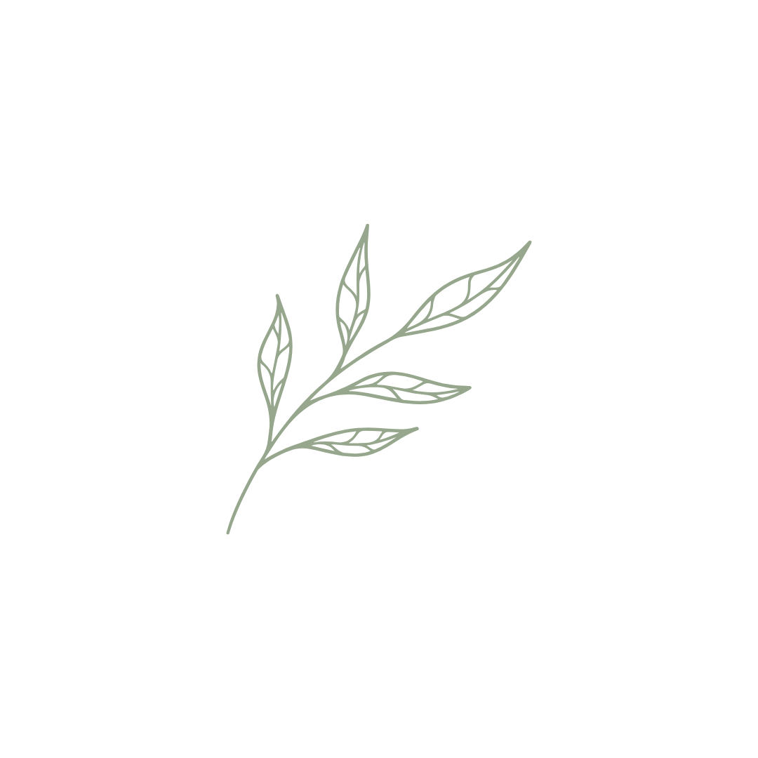 Minimalist illustration of a leafy branch with thin, delicate lines on a black background.