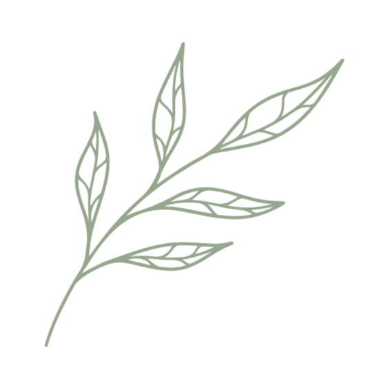 Outline drawing of a leafy branch with multiple leaves on a black background.