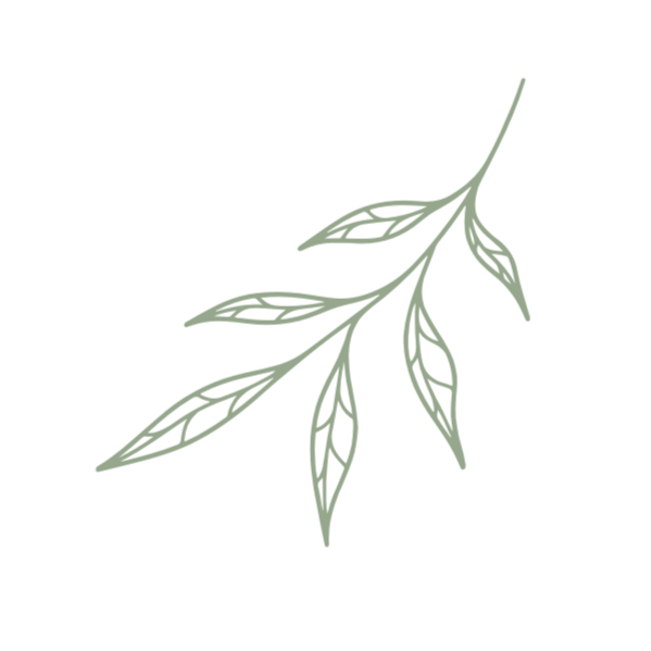 A simple, stylized illustration of a branch with elongated leaves.