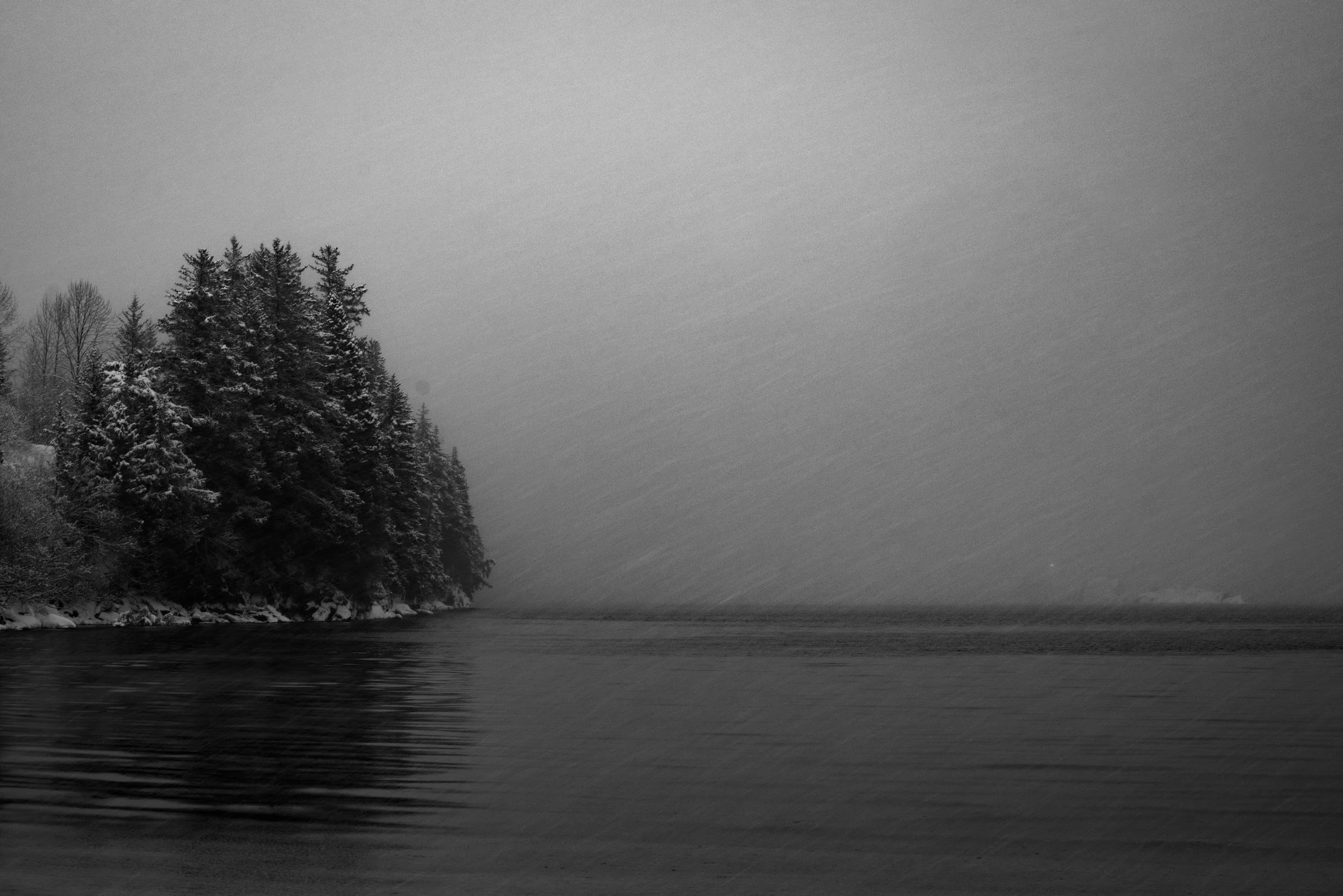 P_D00411.jpg