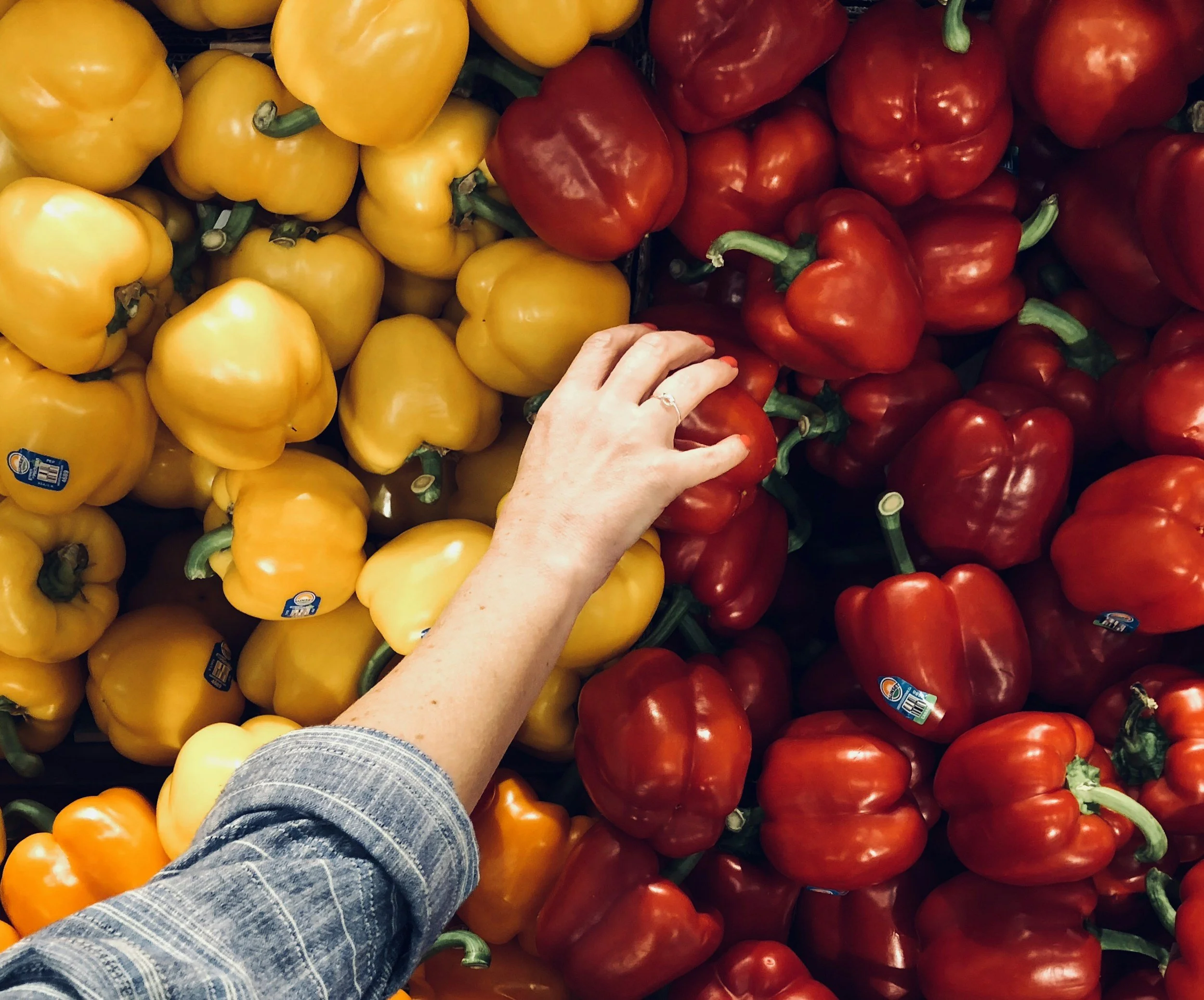 unsplash-image-t4XYbj1q_Cc.jpg