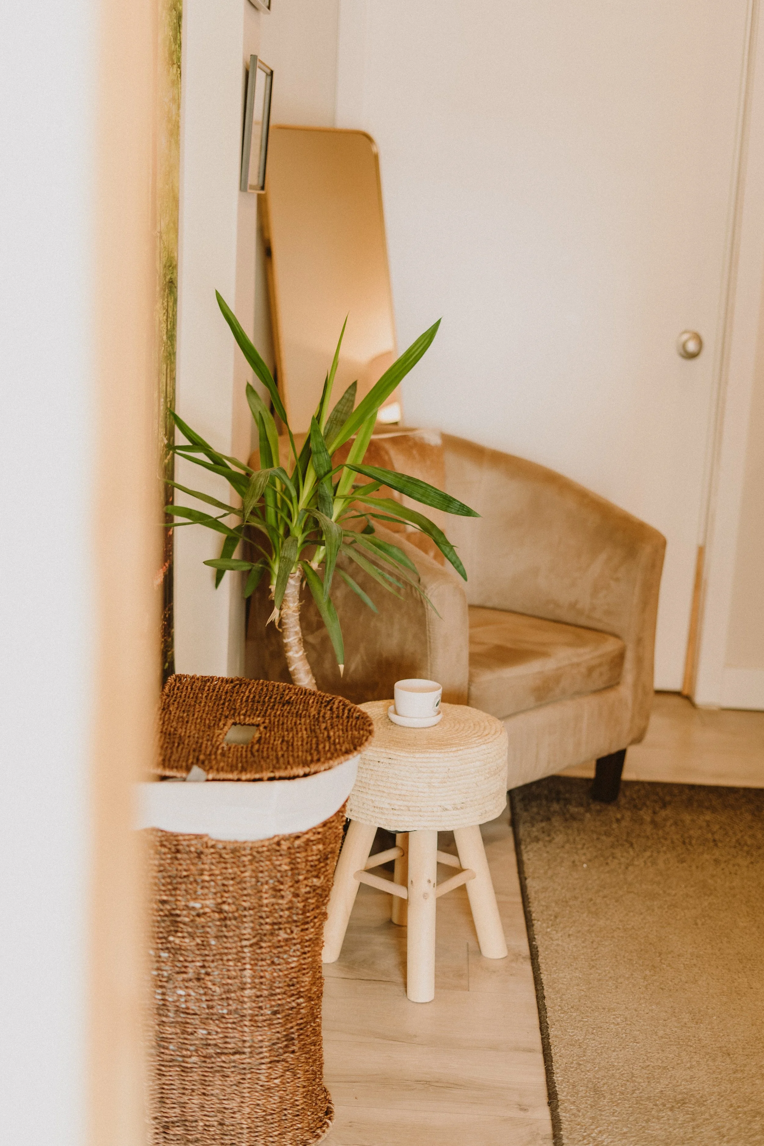 Intérieur d'un salon avec une plante verte en pot, une petite table en bois avec un livre et une tasse, un fauteuil beige en velours, un tapis beige, et un miroir au mur.