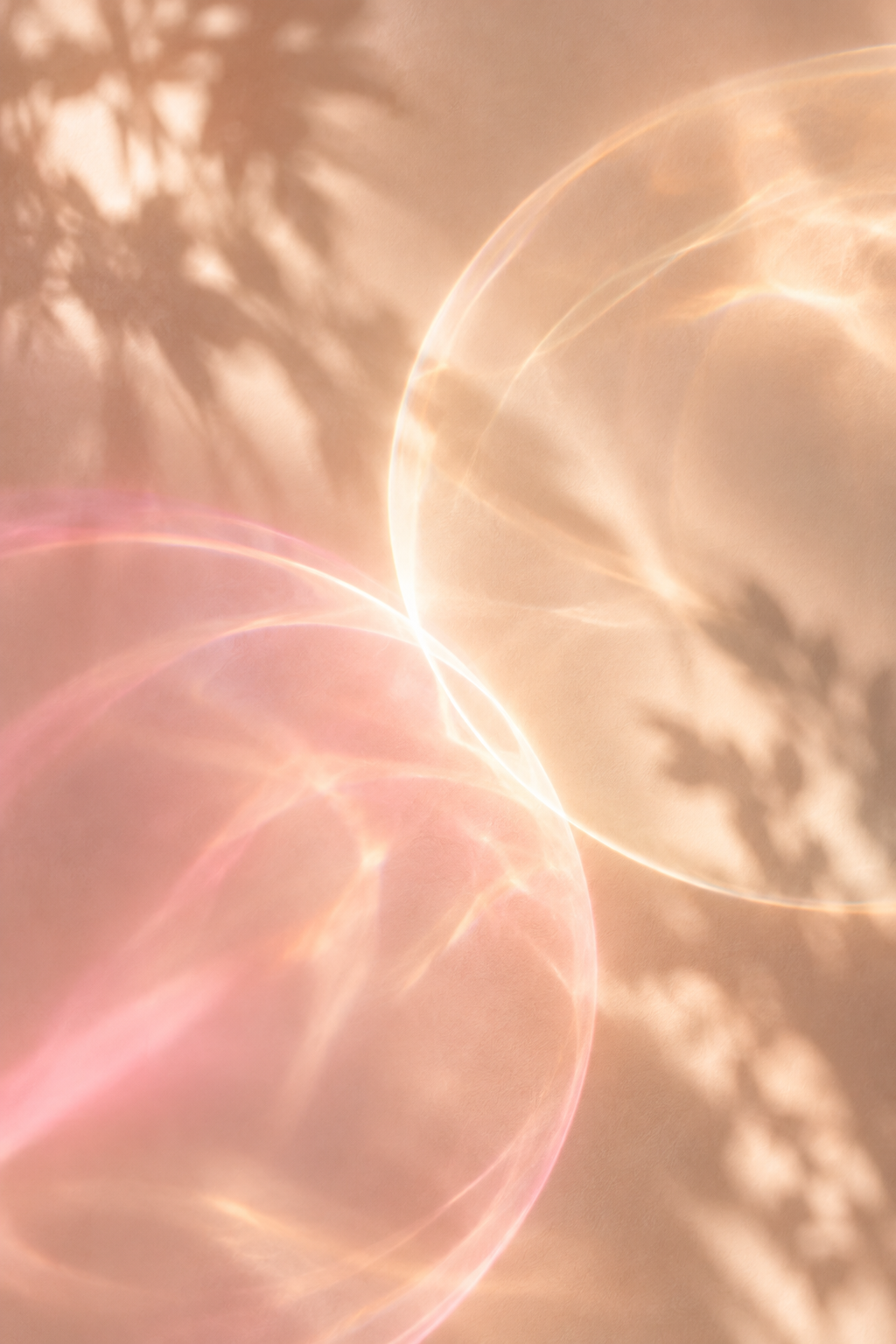 Reflets lumineux et ombres de feuilles sur une surface beige ou rose pastel.
