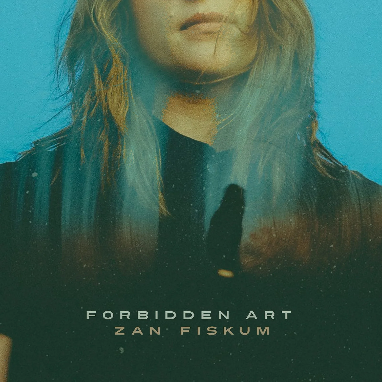Cover artwork for Zan Fiskum album, titled 'Forbidden Art'