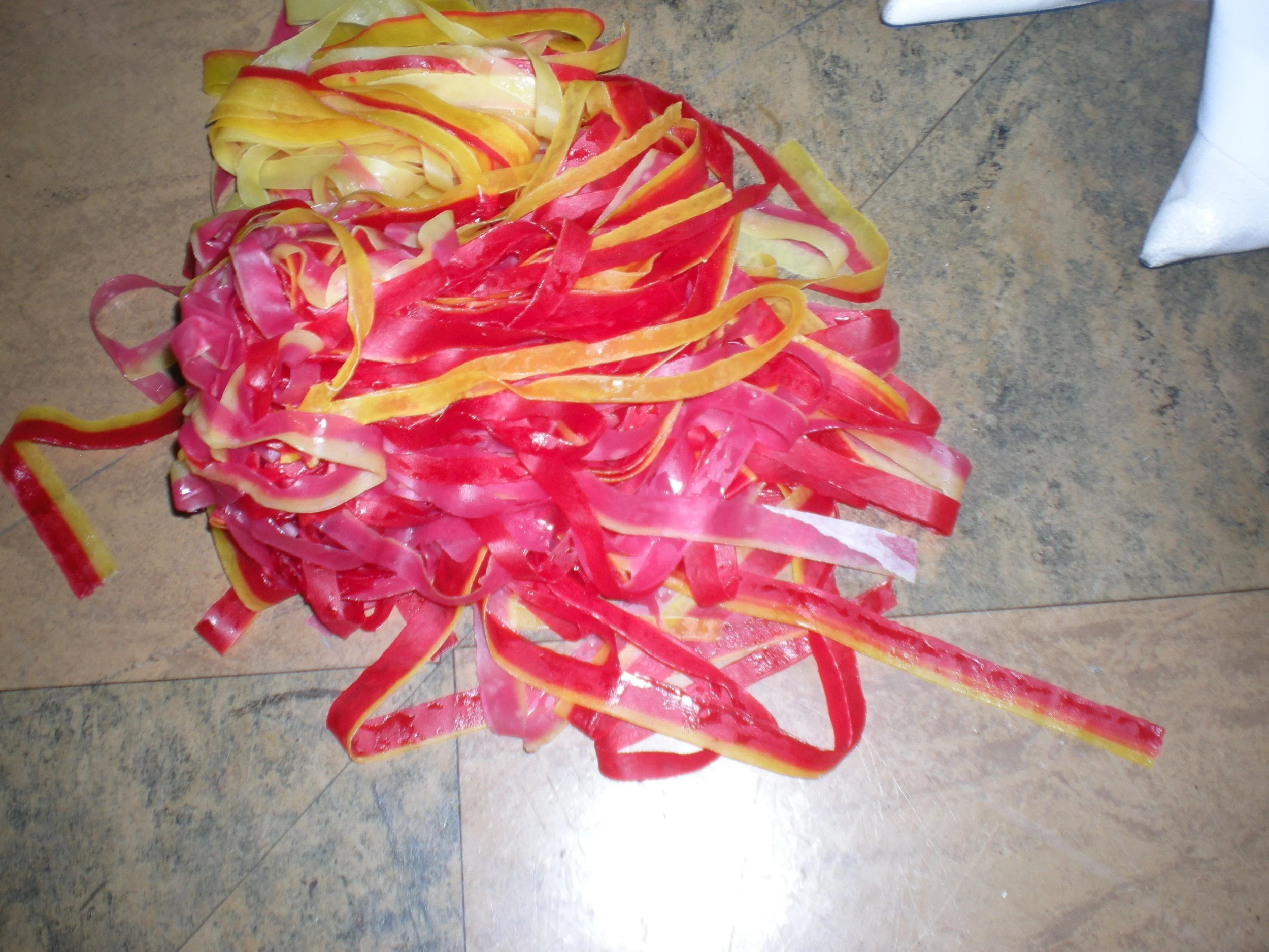 DSCN1576.JPG
