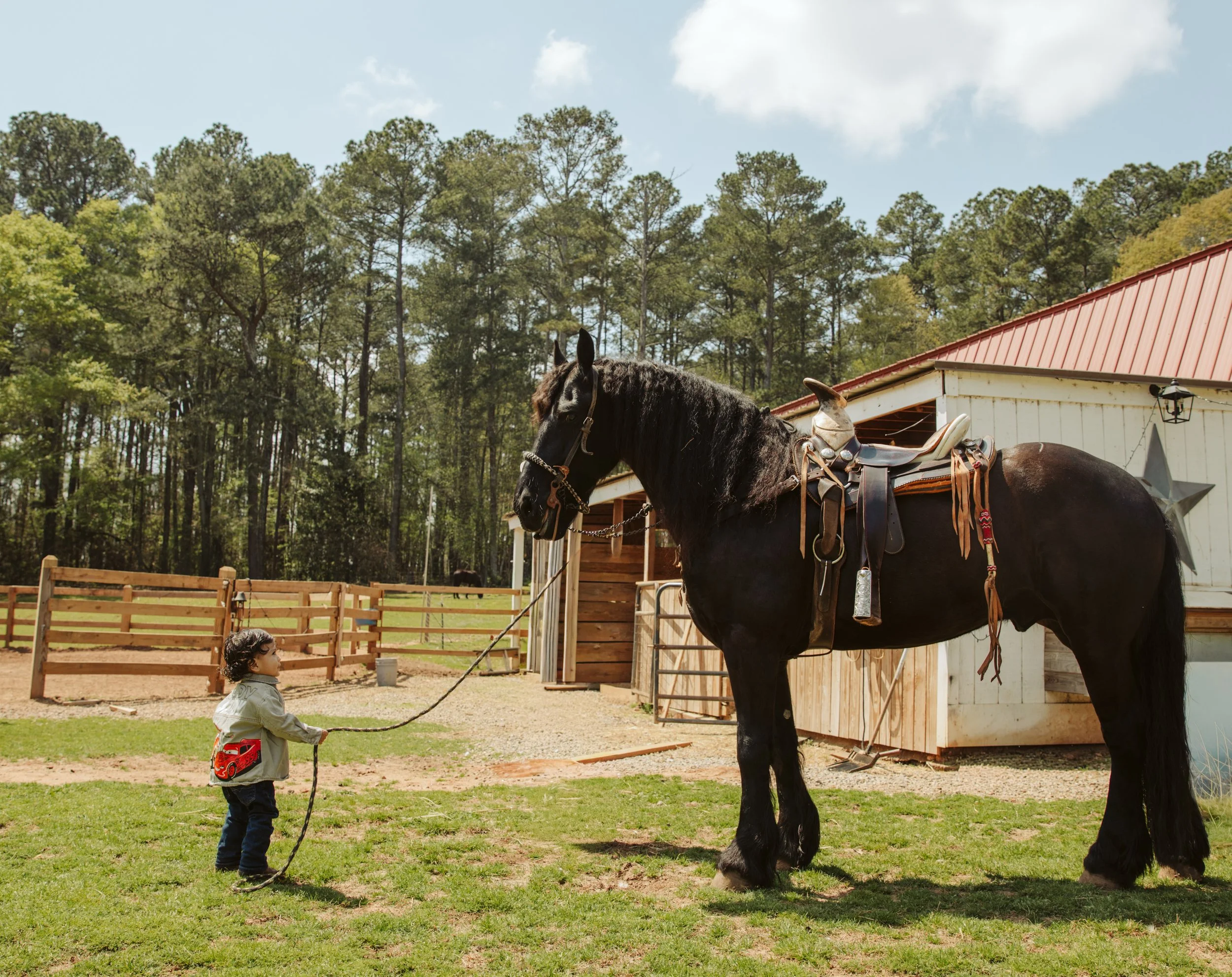 A young child holding a lead rope attached to a black horse with a saddle, standing in an outdoor area with grass and a wooden fence, with trees and a building with a red roof in the background.