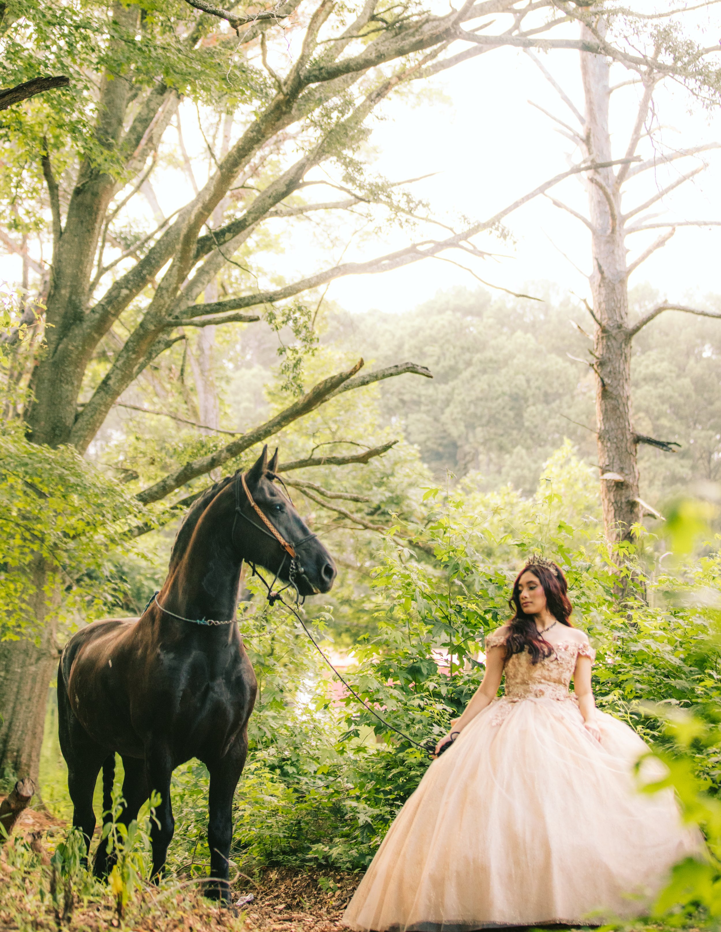 A woman in an elegant dress stands in a lush, green forested area holding the reins of a black horse. Trees and greenery surround her, and sunlight filters through the leaves.