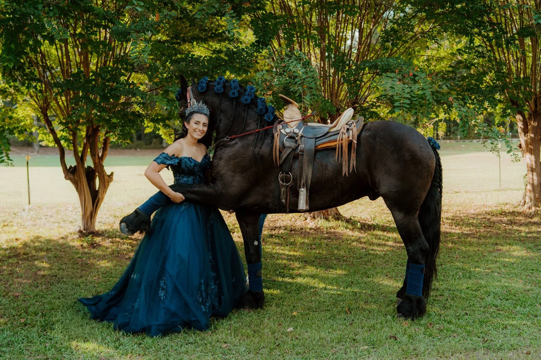 A woman in a fancy blue dress standing next to a black horse decorated with blue flowers in a park with green trees.