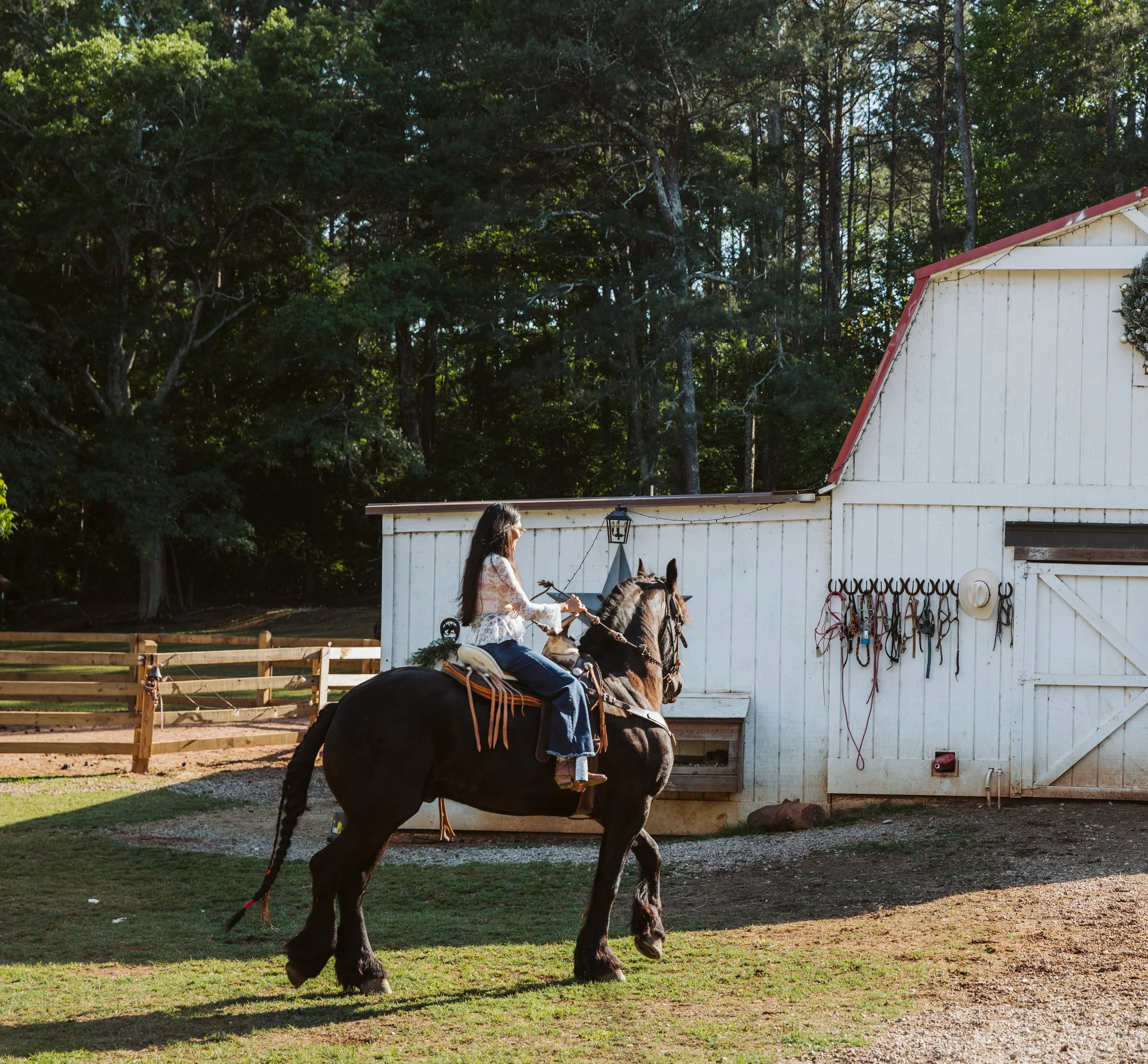 Pasture Boarding
