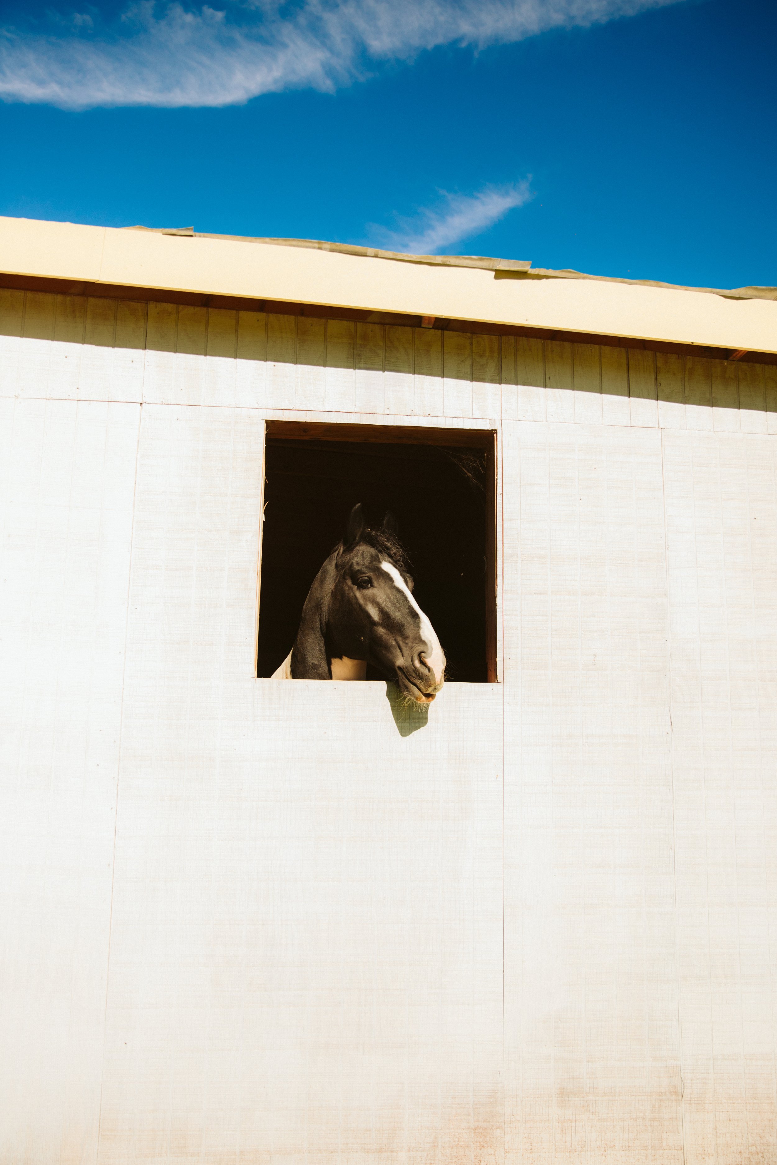 Stall Boarding