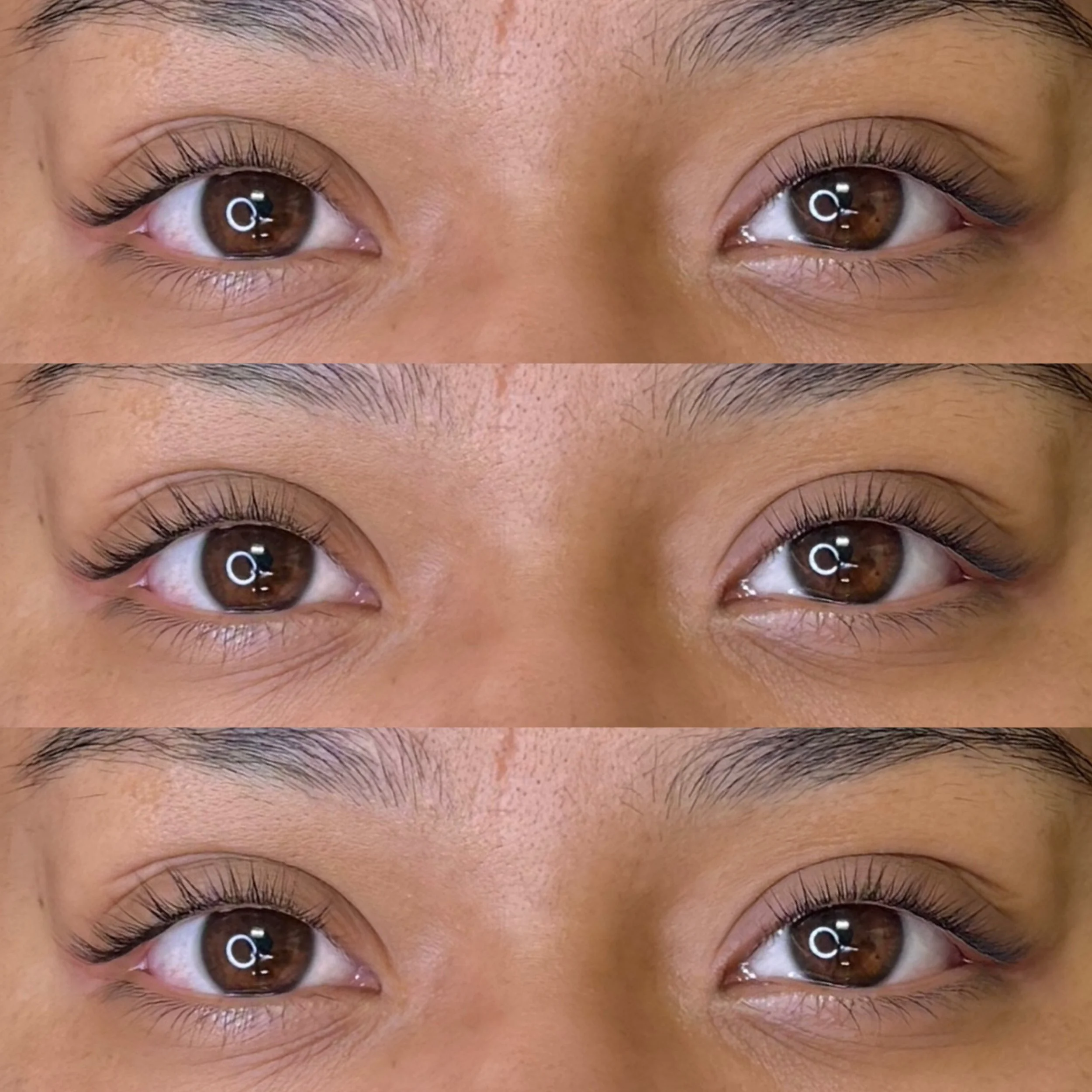 lash+lift+1.png