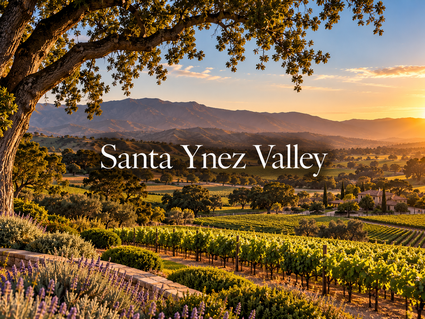 Santa Ynez Valley at Golden Hour.png