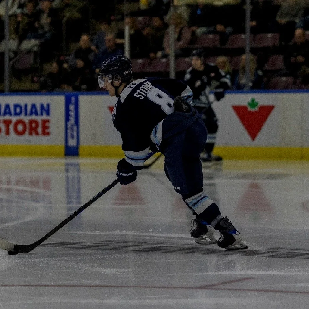 A hockey player in dark uniform on ice, with spectators in the background.