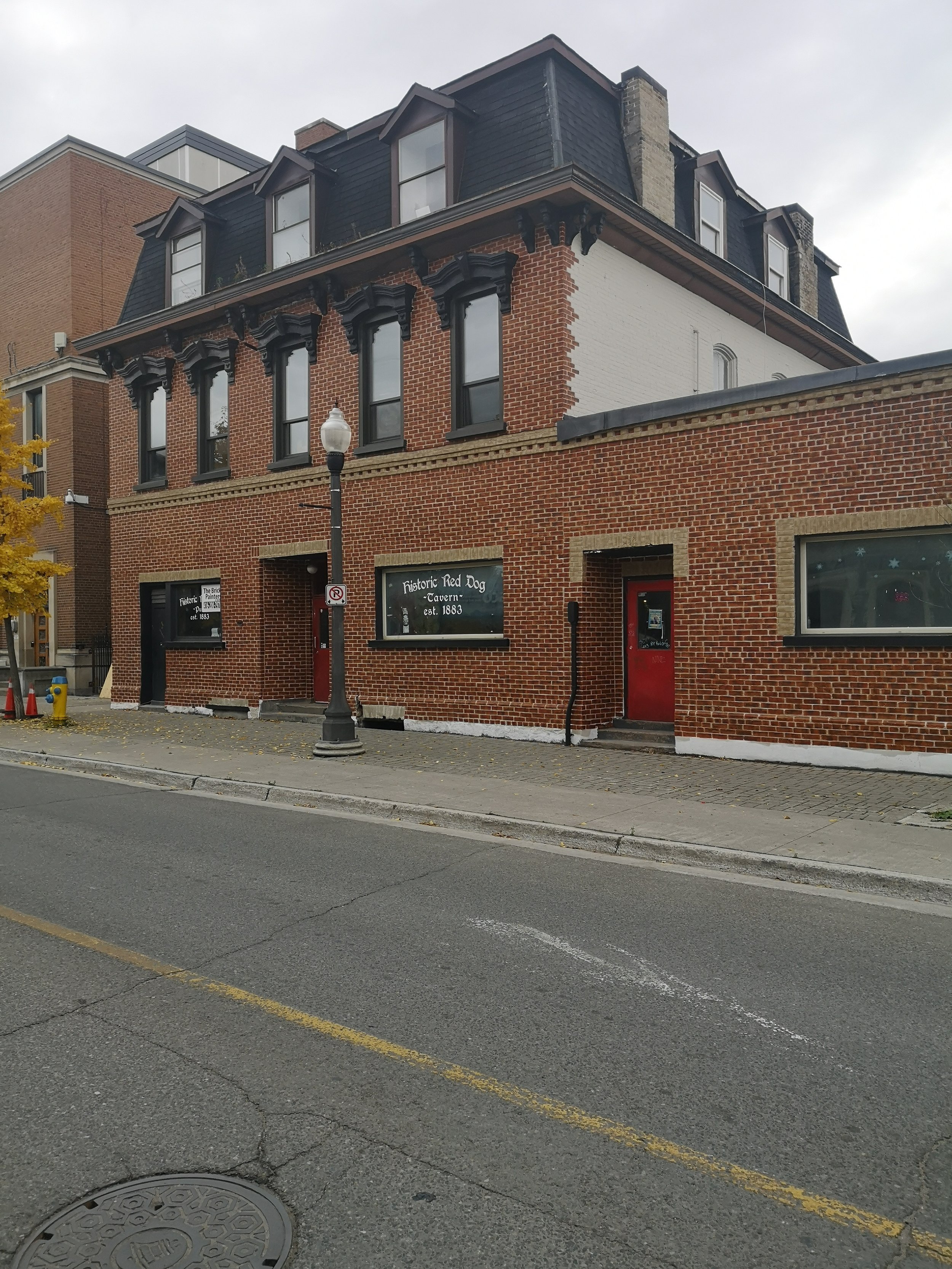 The Historic Red Dog After