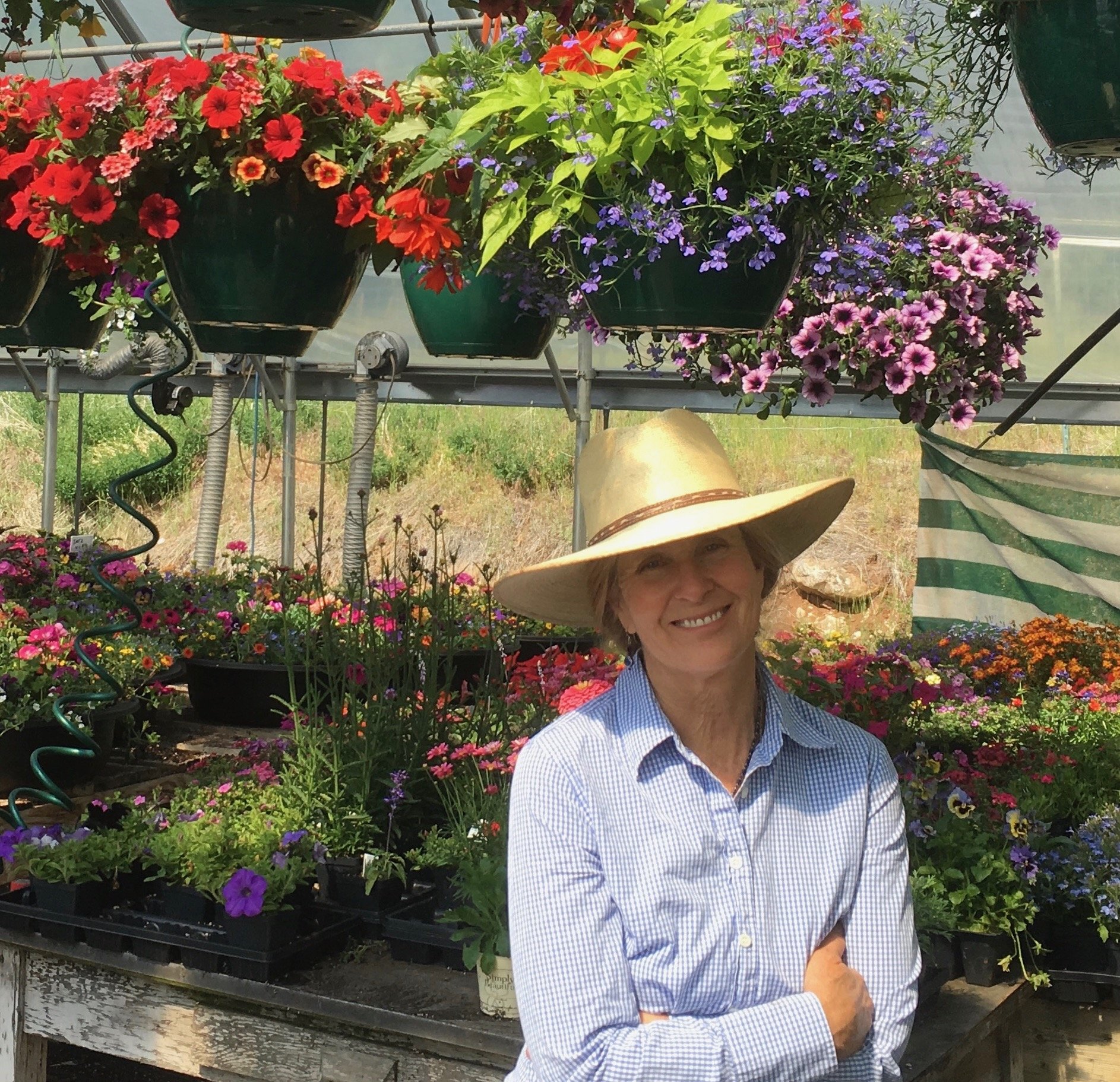 A woman with a wide-brimmed straw hat and a blue and white checkered shirt standing in front of hanging flower pots filled with colorful flowers in a greenhouse or garden center.