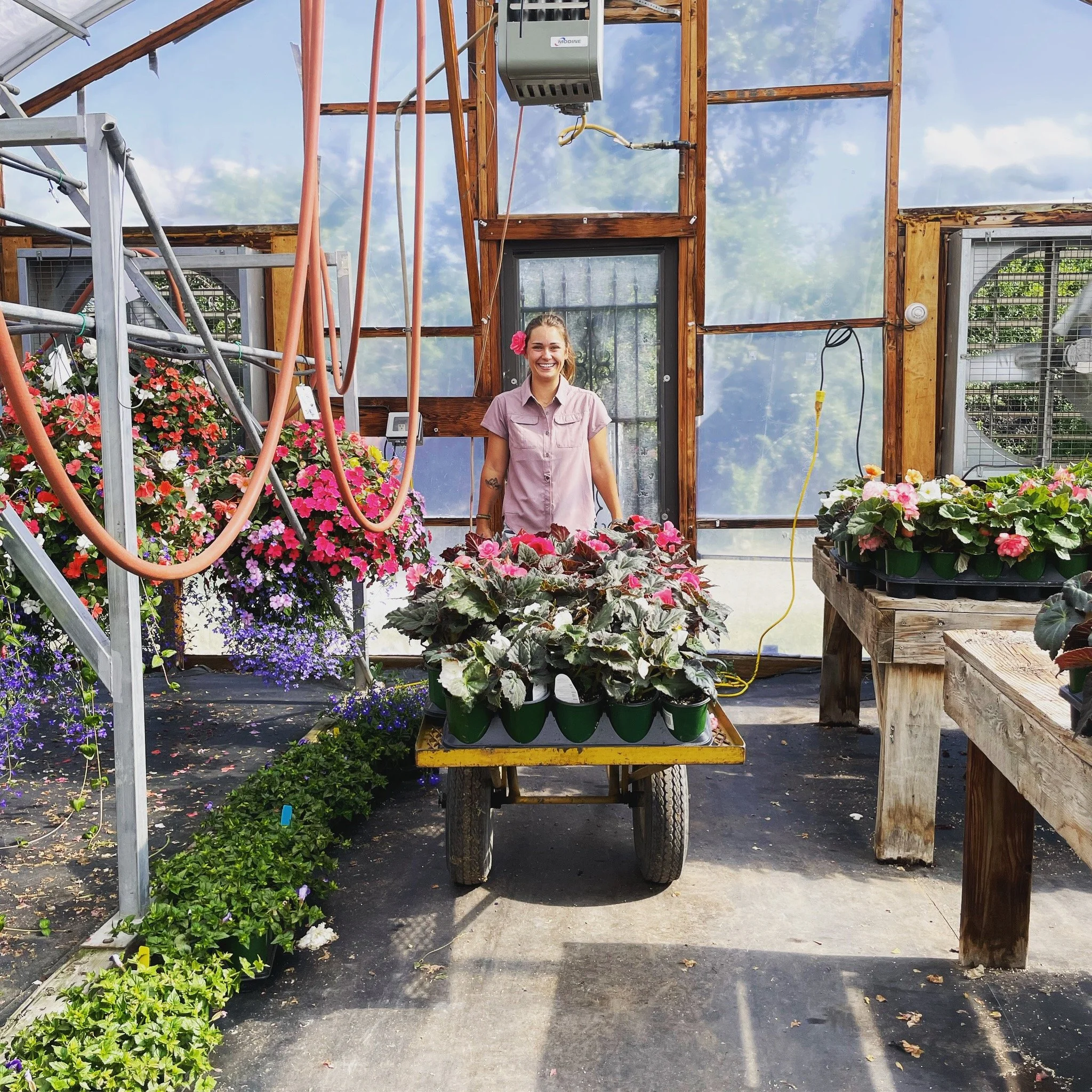 A smiling woman with a flower in her hair standing inside a greenhouse with flowers and plants on display, wooden and metal framework, and gardening equipment.