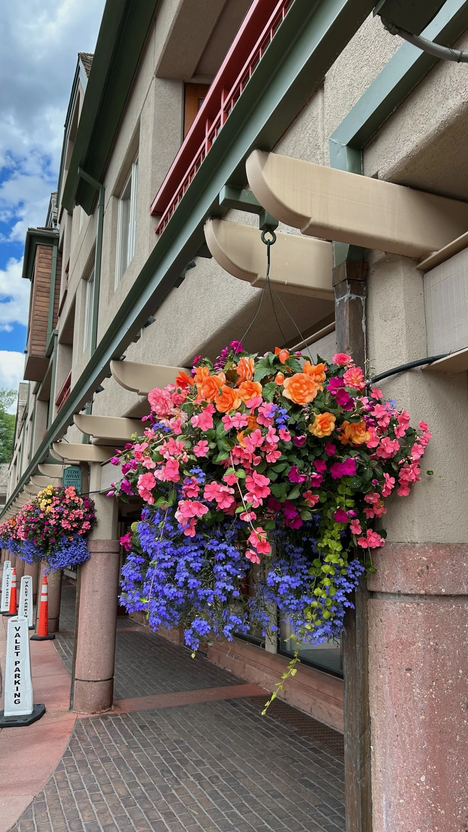 Flower planters with colorful pink, orange, purple, and blue flowers hanging from a building facade. The building features beige stucco walls, large windows, and decorative awnings. There are also street parking signs visible in the foreground.