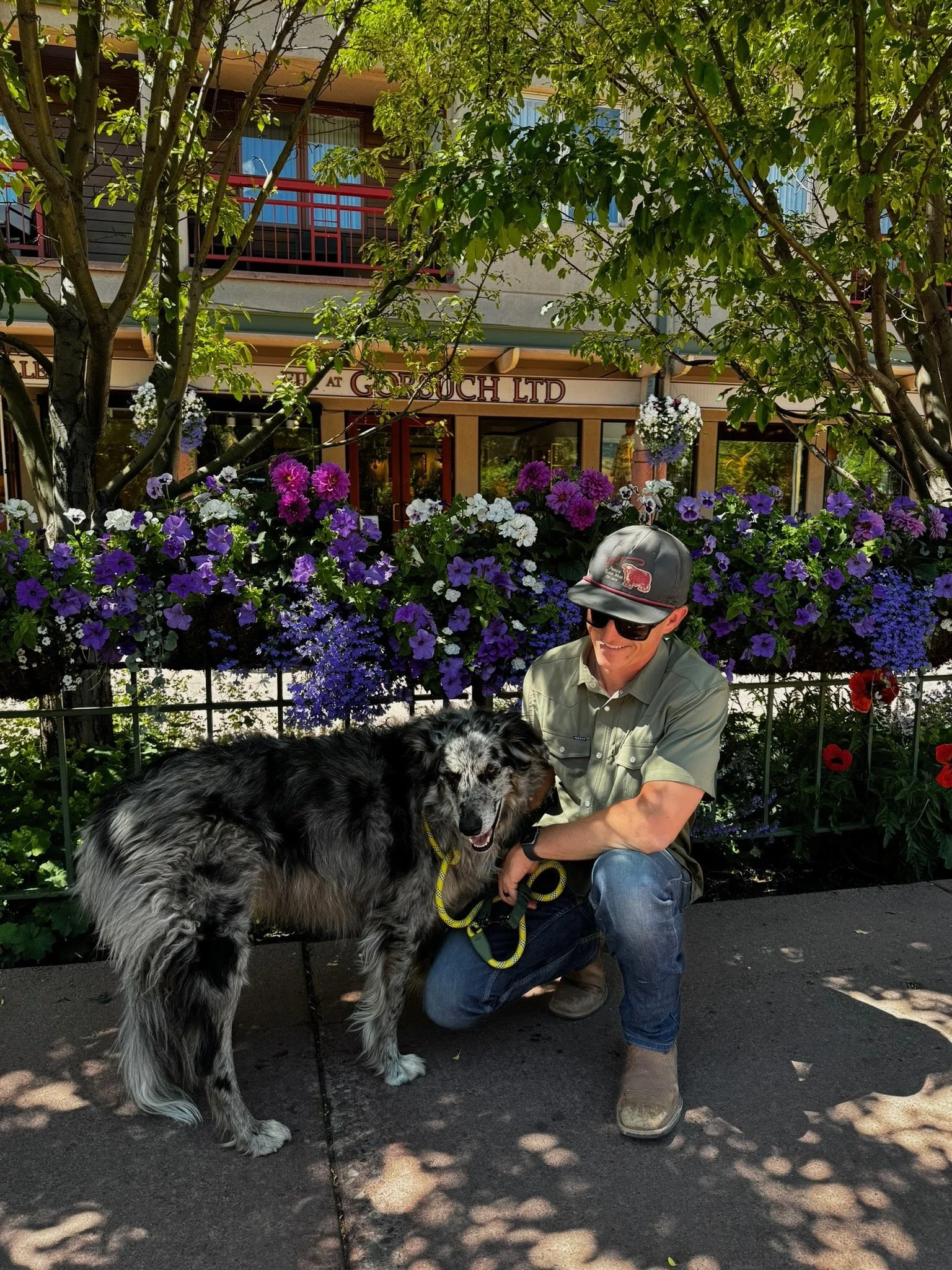 A man kneeling and smiling next to a large Australian Shepherd dog in front of a flower display outside a building with a sign that reads 'The Gough LTD.' The scene is shaded by trees, with purple, white, and red flowers and a balcony above.