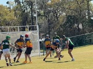 Lacrosse game on a grassy field with players in green, yellow, and black jerseys, some wearing helmets and protective gear, with a goal net in the background.