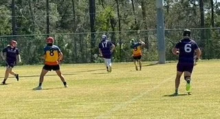 Hurling  players on a grassy field practicing or playing a game, with some players wearing purple jerseys and others in yellow and black uniforms.