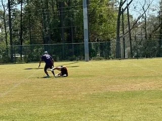 A person is on a football field, appearing to assist or tend to a dog lying on the ground.