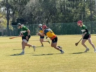 Four young girls playing lacrosse on a grassy field.