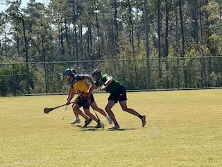 Two people playing lacrosse outdoors on a grassy field with trees in the background.